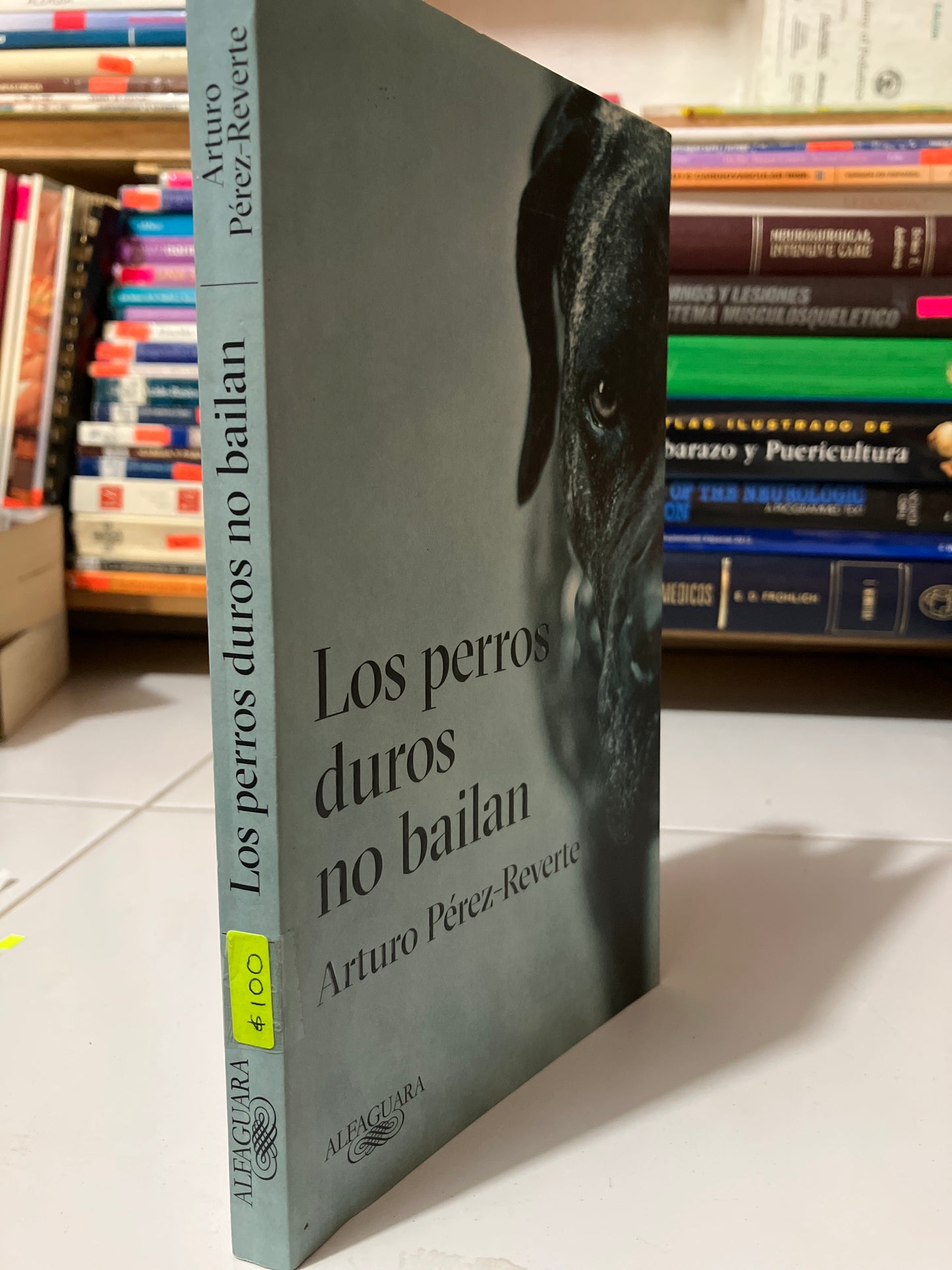 LOS PERROS DUROS NO BAILAN POR ARTURO PÉREZ REVERTE USADO NOVELAS JUAREZ