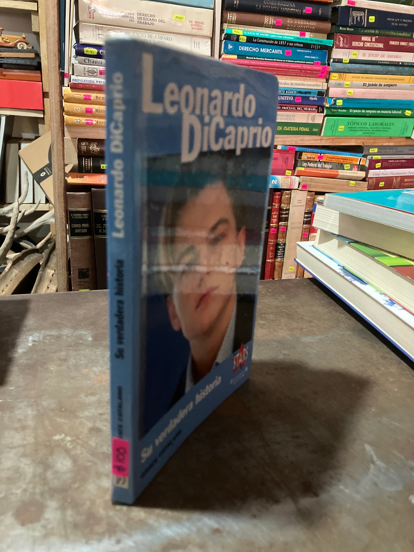 LEONARDO DICAPRIO POR GRACE CATALANO USADO NOVELA ALDAMA