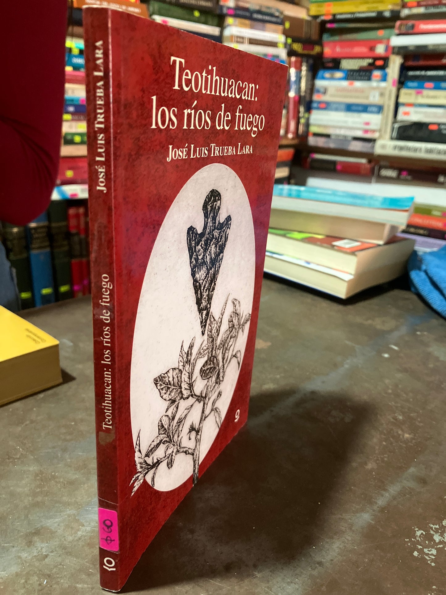 TEOTIHUACÁN LOS RIOS DE FUEGO POR JOSE LUIS TRUEBA LARA USADO NOVELA ALDAMA