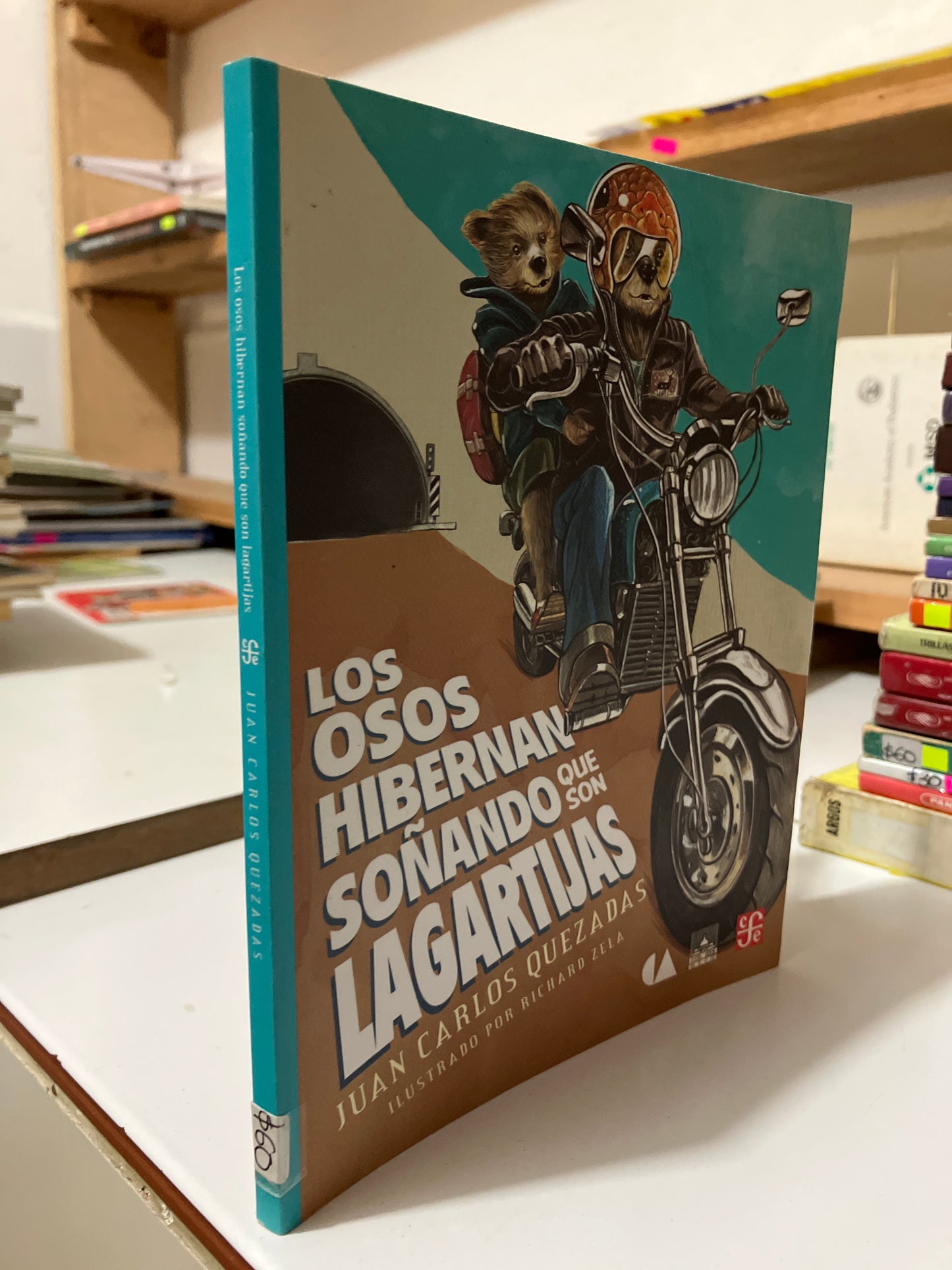 LOS OSOS HIBERNAN SOÑANDO QUE SON LAGARTIJAS POR JUAN CARLOS QUEZADAS USADO INFANTILES JUAREZ