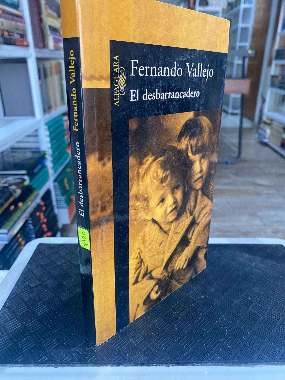 FERNANDO VALLEJO EL DESBARRANCADERO USADO NOVELA JUAREZ 515