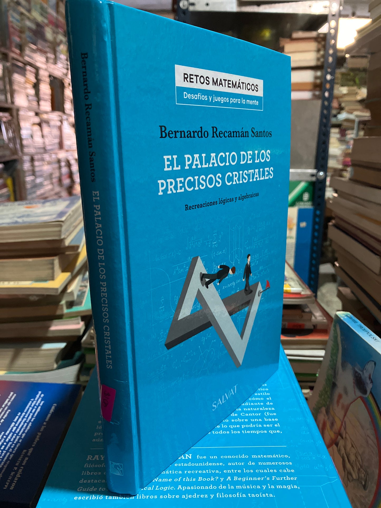 EL PALACIO DE LOS PRECISOS CRISTALES POR BERNARDO RECAMAN SANTOS USADO INFANTIL ALDAMA