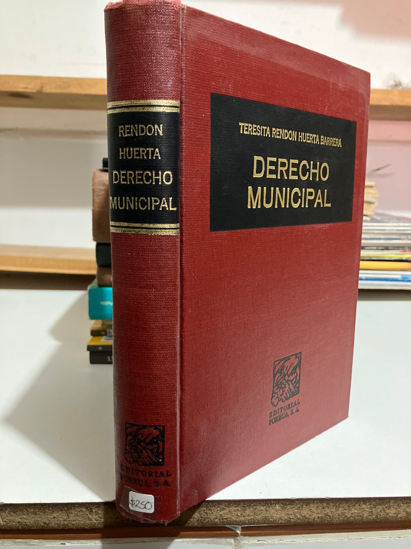 DERECHO MUNICIPAL POR TERESITA RENDÓN HUERTA USADO DERECHO JUAREZ
