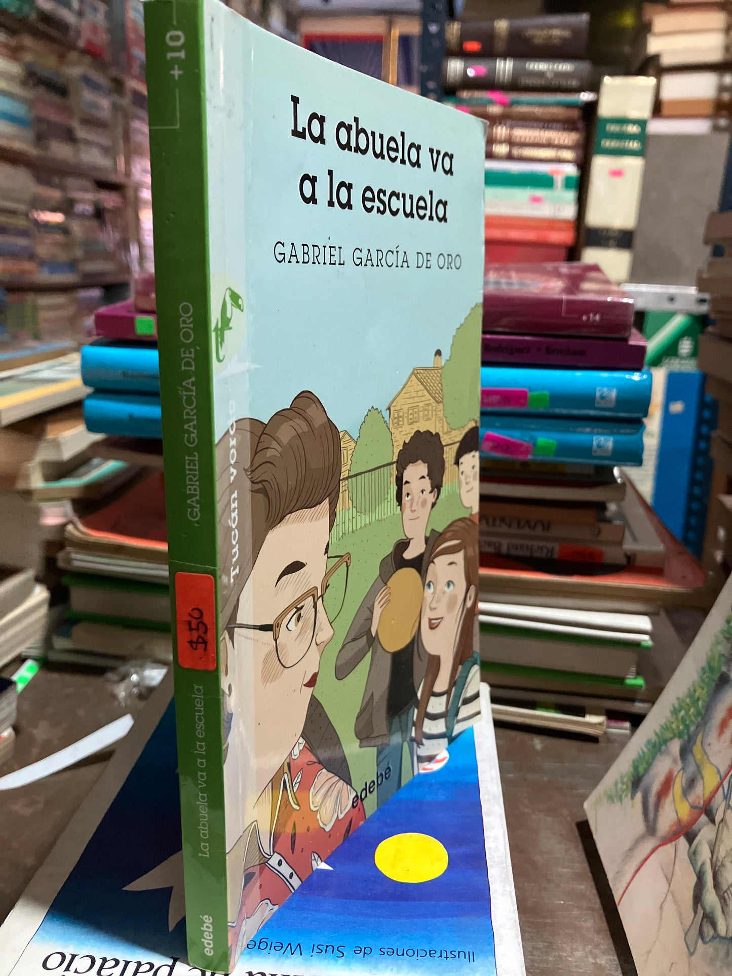 LA ABUELA VA A LA ESCUELA POR GABRIEL GARCÍA DE ORO USADO INFANTILES ALDAMA
