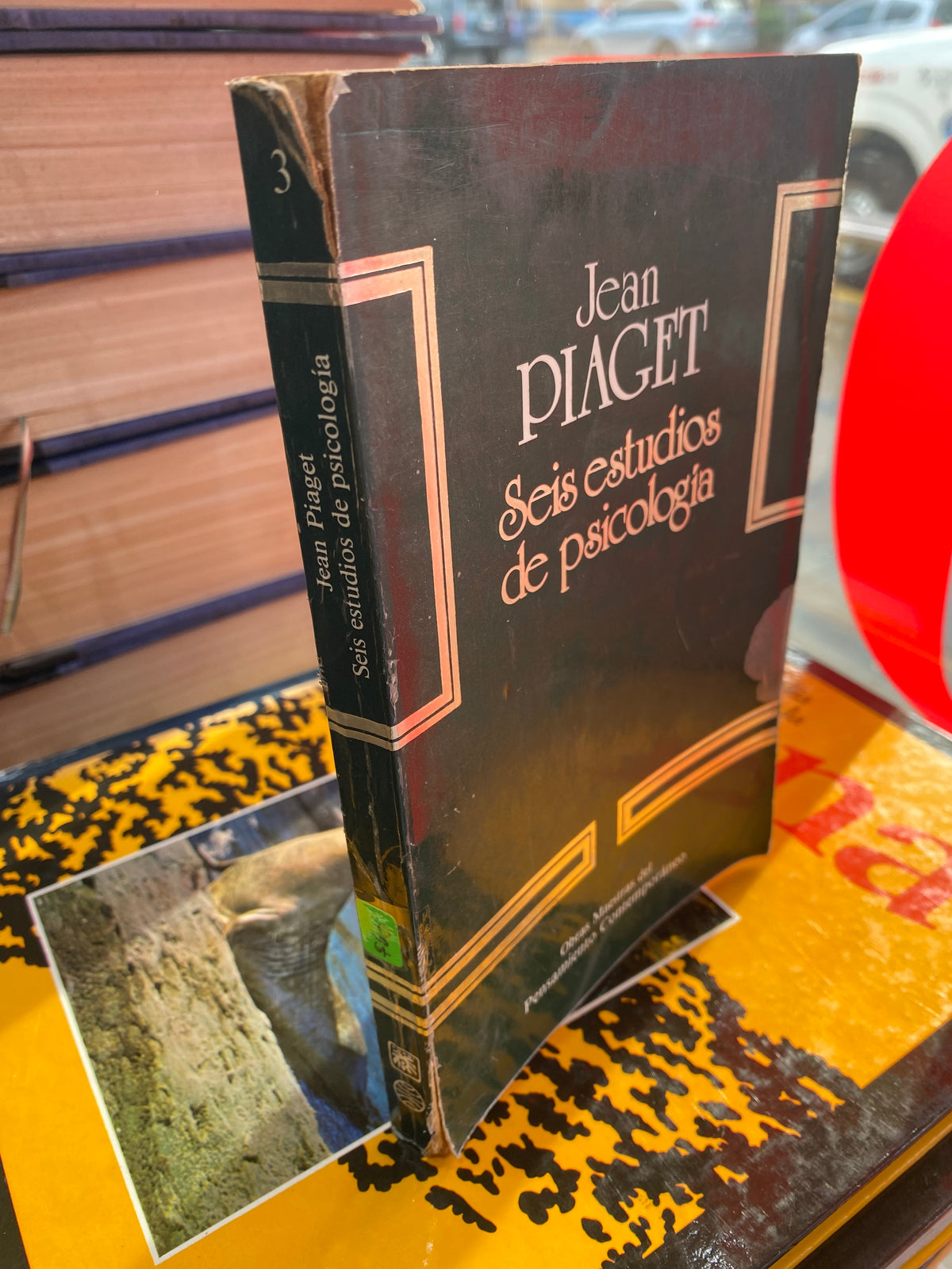 JEAN PIAGET SEIS ESTUDIOS DE PSICOLOGIA USADO PSICOLOGIA JUAREZ 515