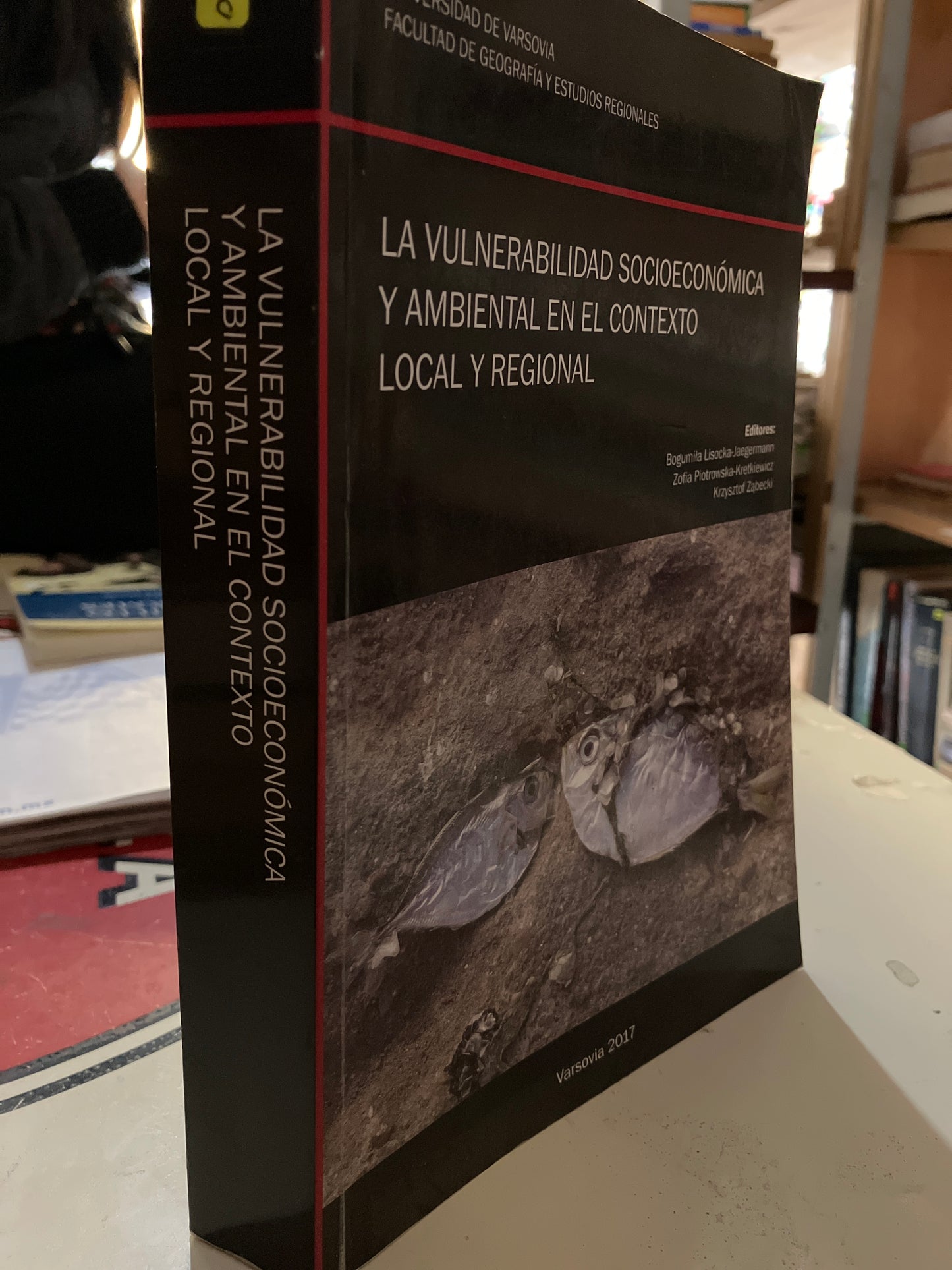 LA VULNERABILIDAD SOCIOECONÓMICA Y AMBIENTAL EN EL CONTEXTO LOCAL Y REGIONAL POR AUTORES VARIOS USADO ADMINISTRACIÓN LITERARIO 207