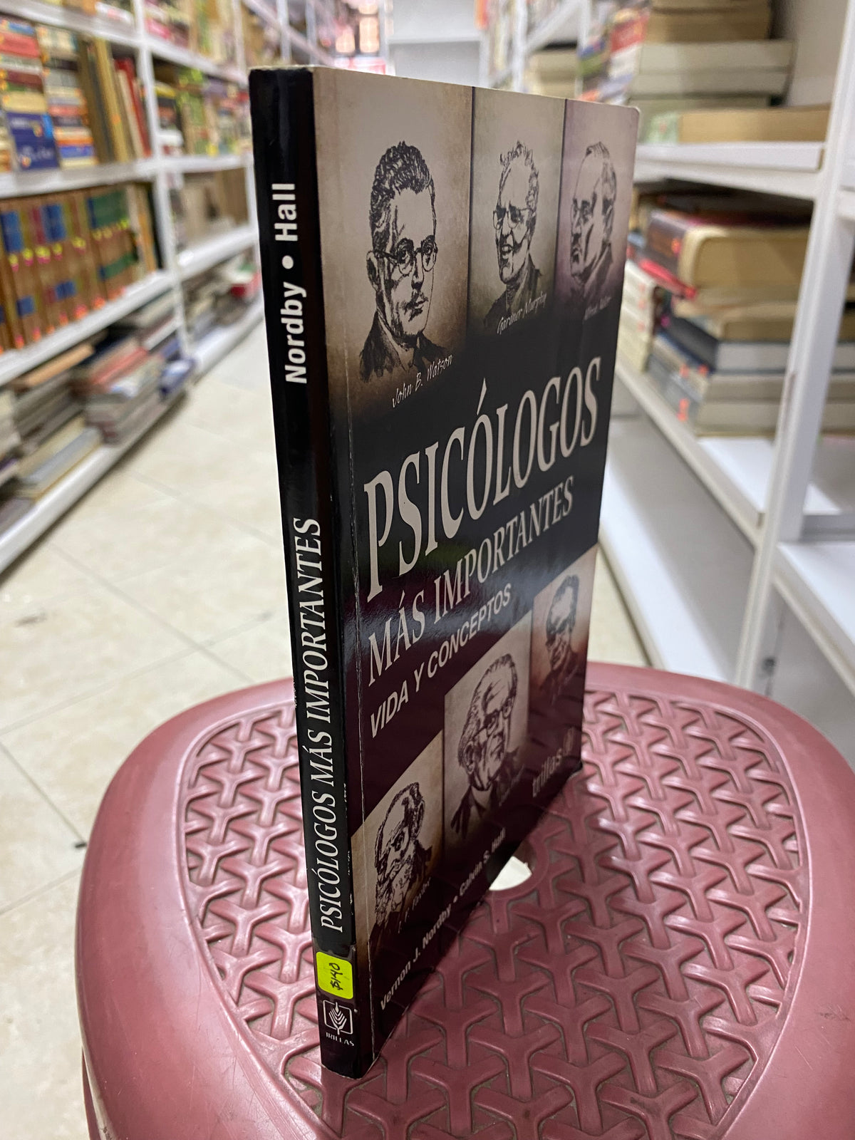PSICOLOGOS MAS IMPORTANTES VIDA Y CONCEPTOS VERNON J NORDBY CALVIN S HALL USADO PISCOLOGIA JUAREZ 515