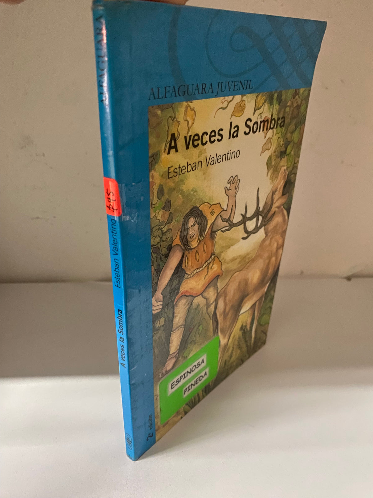 À VECES LA SOMBRA ESTEBAN VALENTINO USADO INFANTIL JUAREZ 515