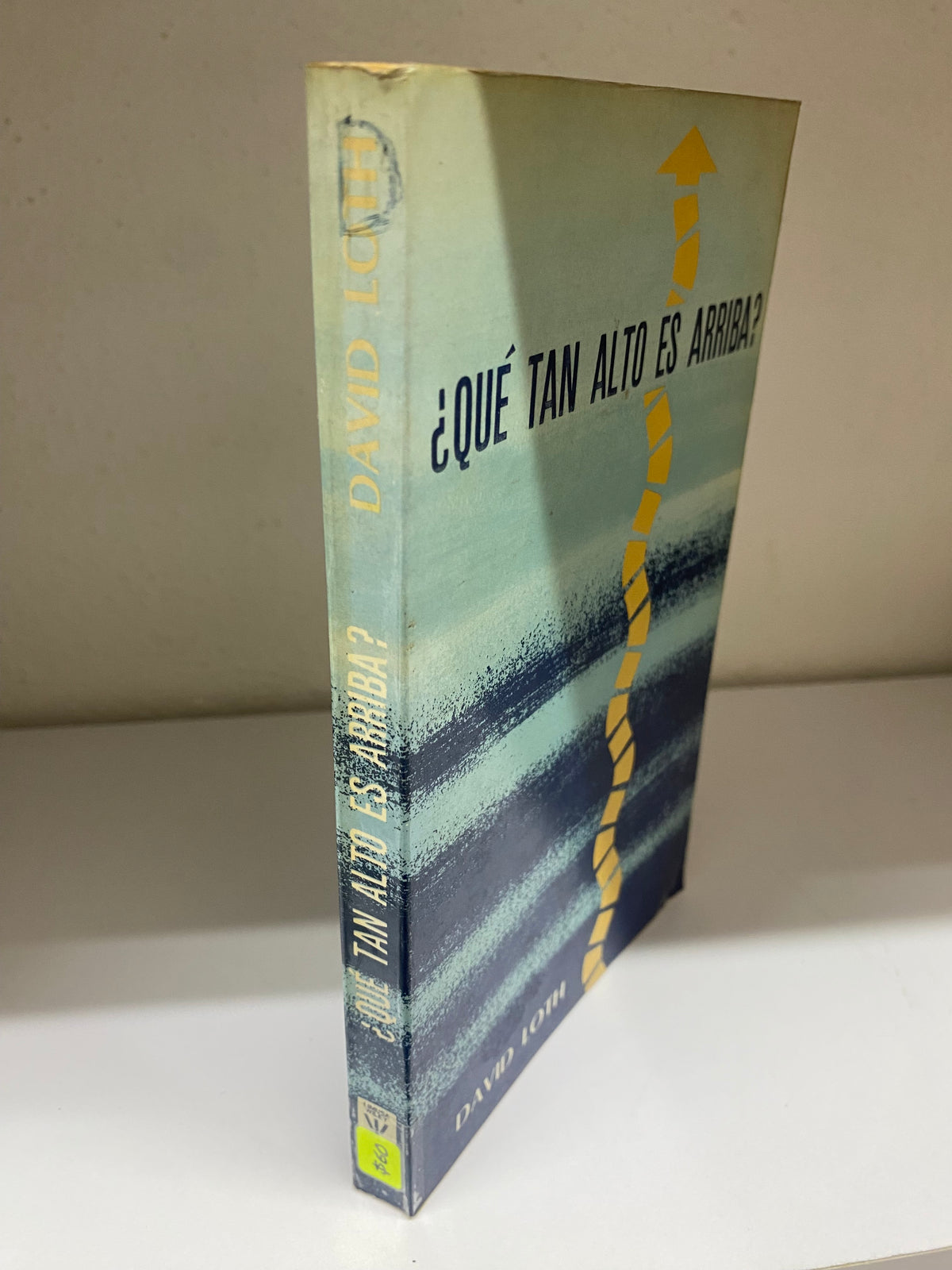 QUE TAN ALTO ES ARRIBA POR DAVID LOTH USADO NOVELA JUAREZ 515
