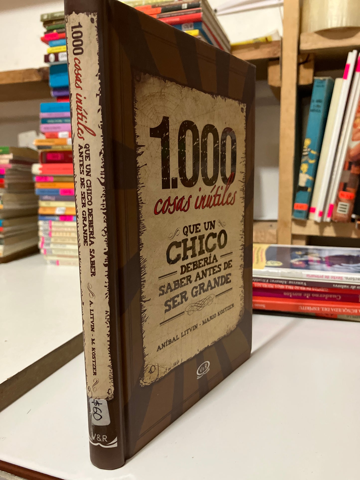 1000 COSAS INÚTILES POR ANÍBAL LITVIN USADO INFANTILES JUAREZ