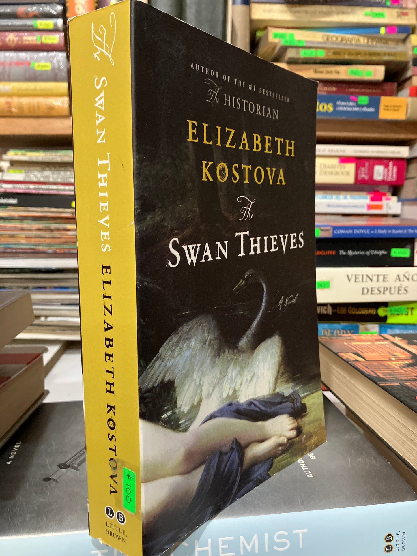 THE SWAN THIEYES BY ELIZABETH KOSTOVA USADO IDIOMAS JUAREZ
