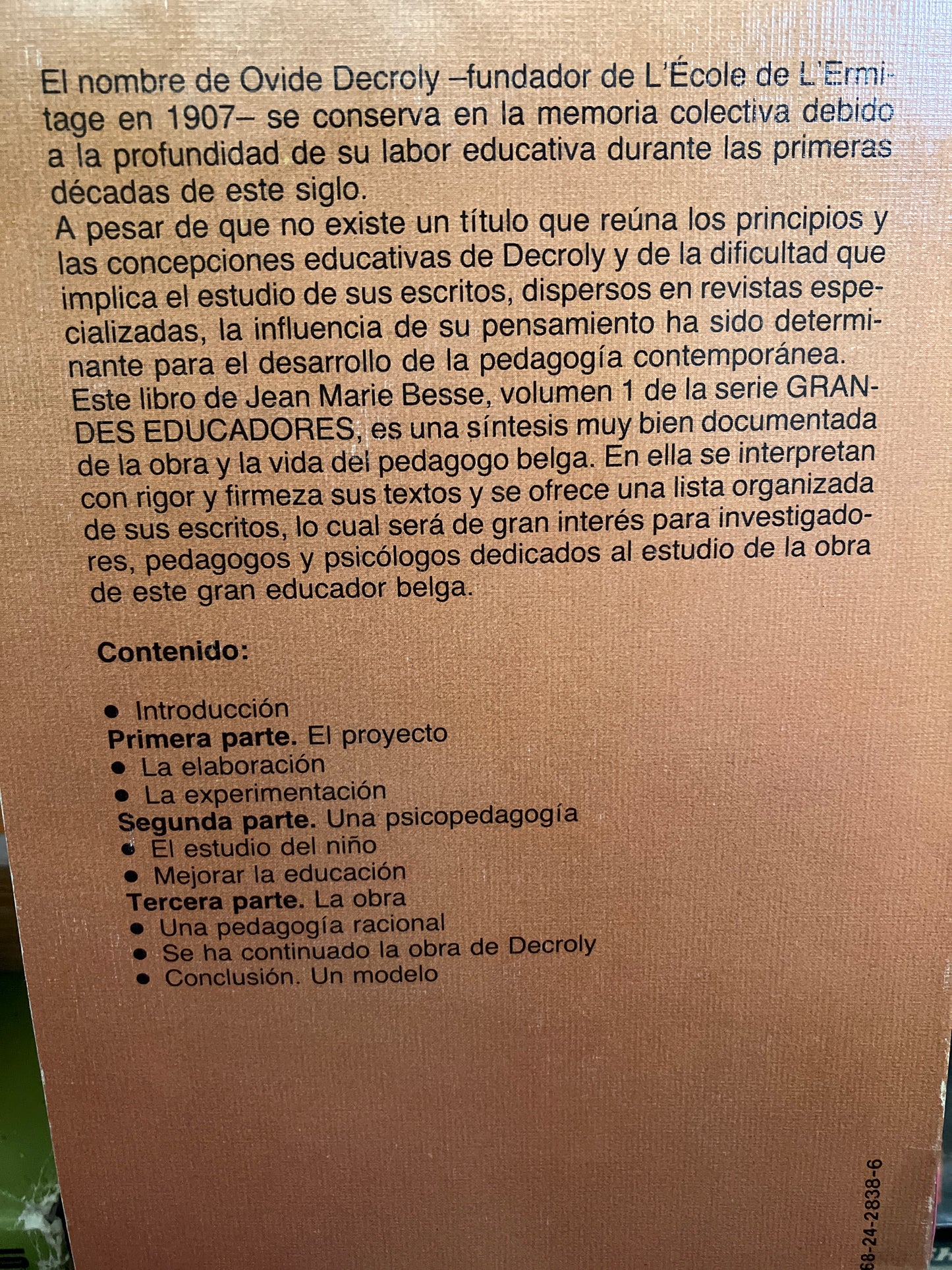 DECROLY POR JEAN MARIE BESSE USADO EDUCACION ALDAMA
