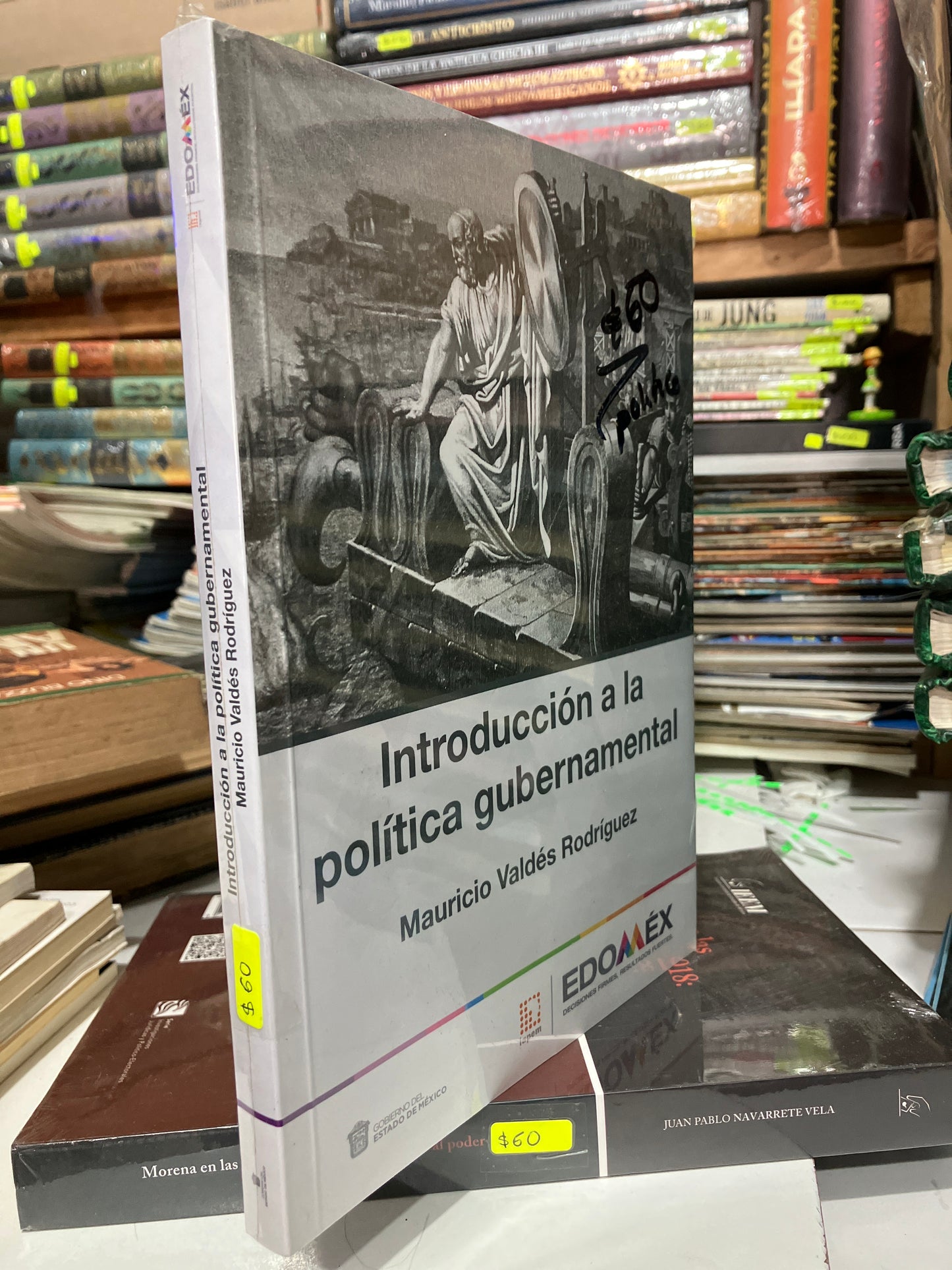 INTRODUCCION A LA POLITICA GUBERNAMENTAL POR MAURICIO VALDÉS RODRIGUEZ USADO POLITICA JUAREZ