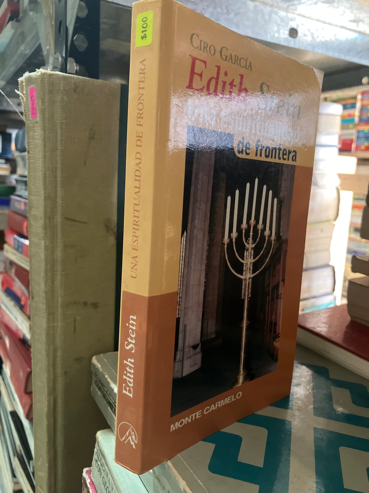 EDITH STEIN UNA ESPIRITUALIDAD DE FRONTERA POR CIRO GARCÍA USADO RELIGIÓN ALDAMA
