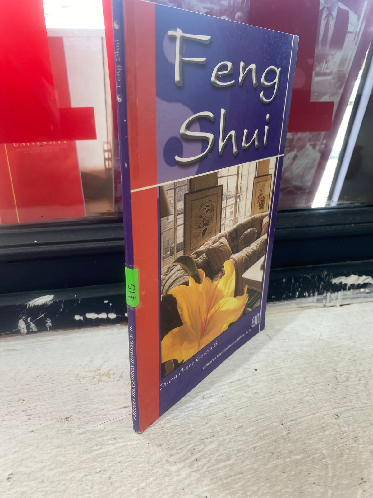FENG SHUI POR DIANA JRENE GARCIA USADO ESOTERISMO JUAREZ 515