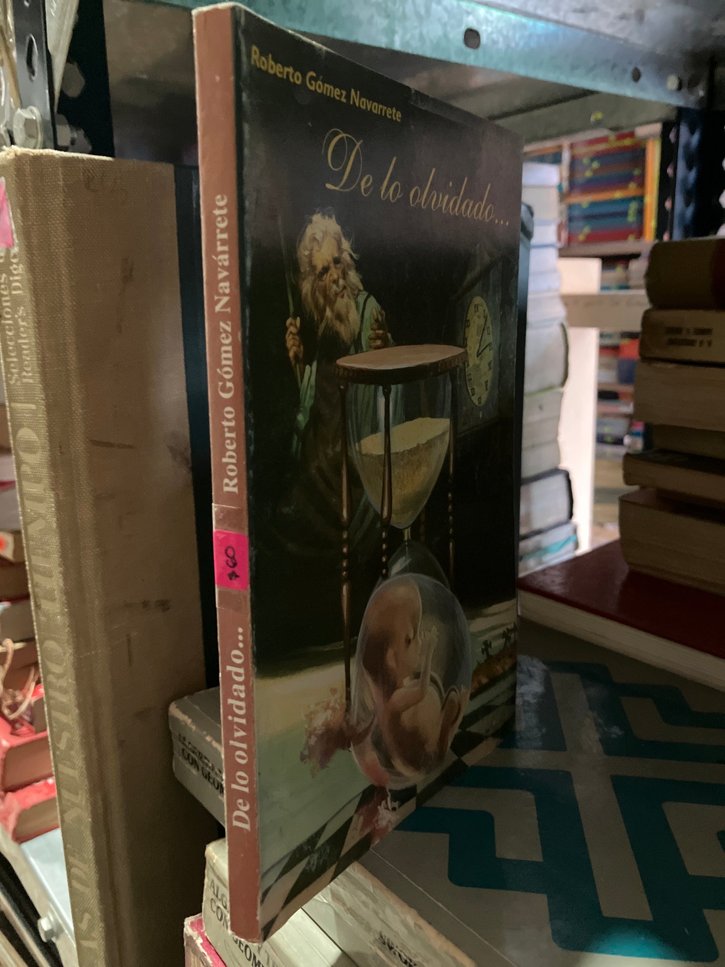 DE LO OLVIDADO POR ROBERTO GÓMEZ NAVARRETE USADO NOVELA ALDAMA