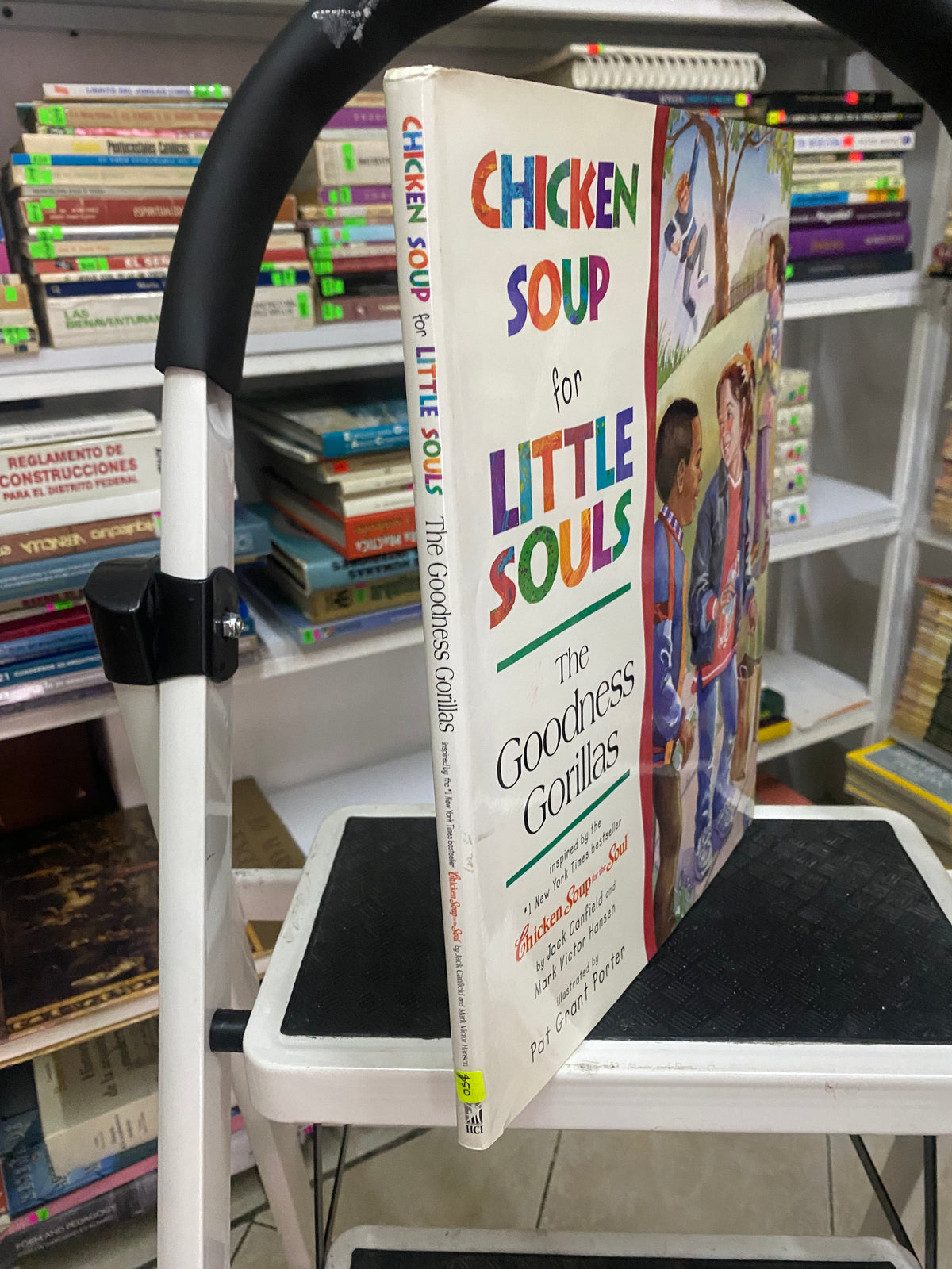 CHICKEN SOUP FOR LITLE SOULS PAT GRANT PORTER USADO IDIOMAS JUAREZ 515