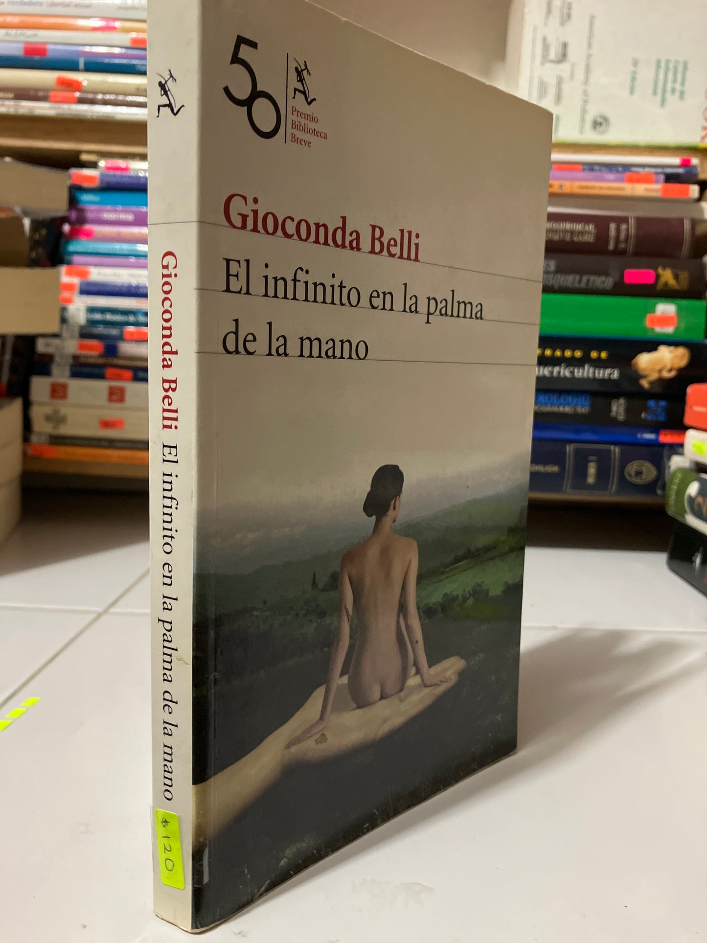 EL INFINITO EN LA PALMA DE LA MANO POR GIOCONDA BELLI USADO NOVELAS JUAREZ