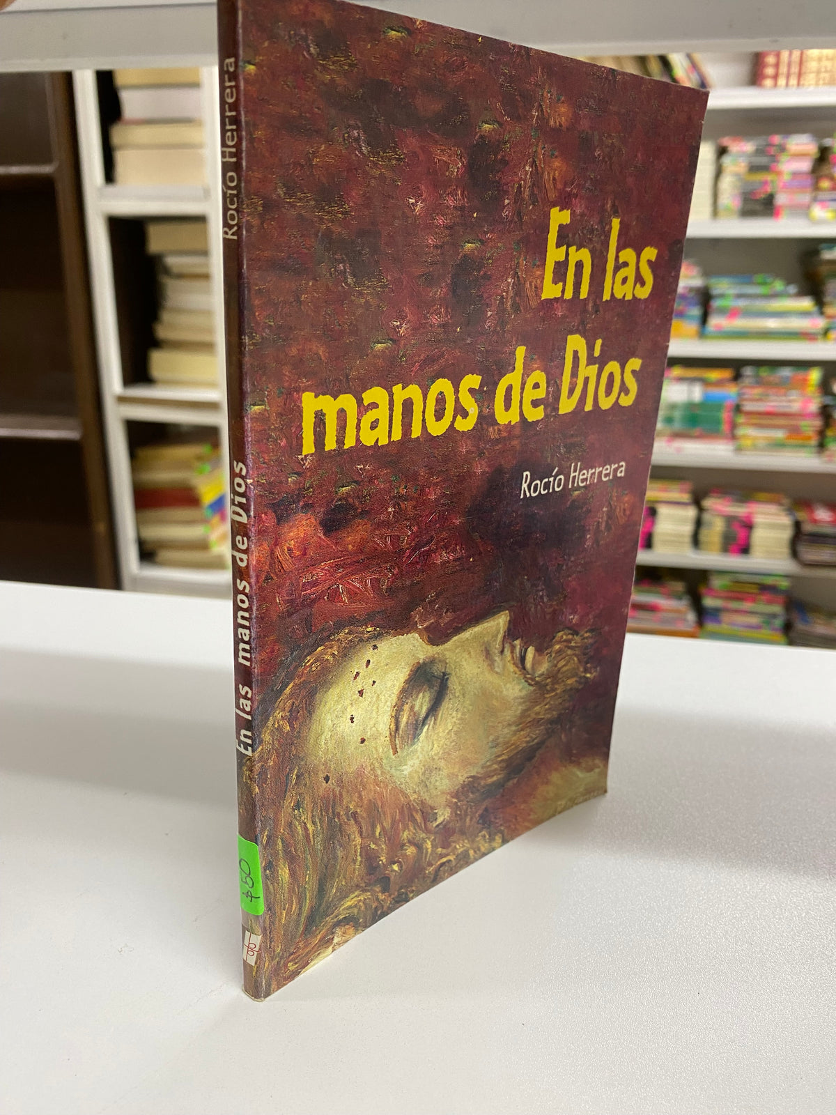 EN LAS MANOS DE DIOS ROCIO HERRERA USADO JUAREZ 515