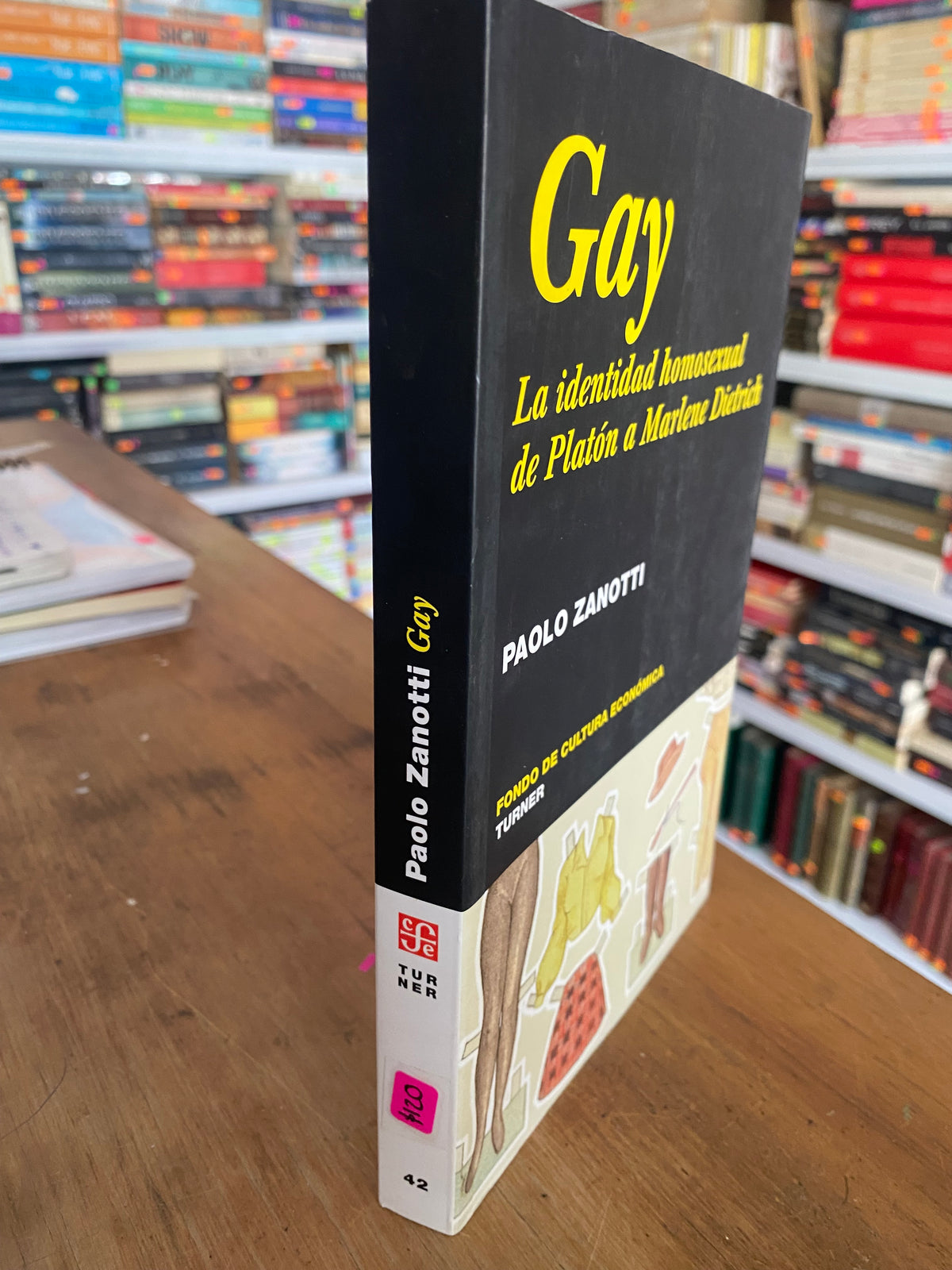 GAY LA IDENTIDAD HOMOSEXUAL DE PLATON A MARLENE DIENTRICH POR PAOLO ZANOTTI USADO PSICOLOGIA JUAREZ 515