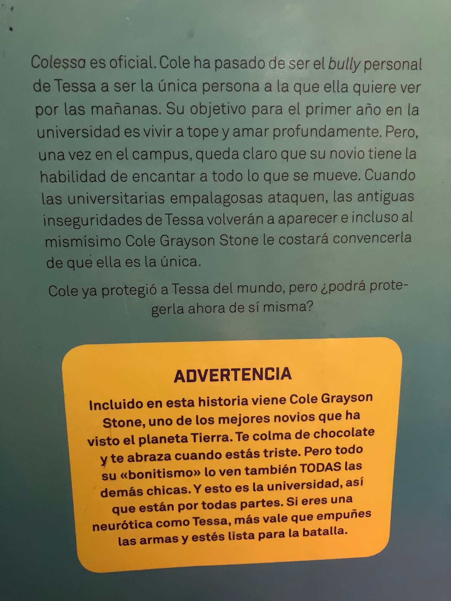 BAD BOYS GIRL MÁS RAZONES PARA ODIARTE POR BLAIR HOLDEN USADO NOVELA ALDAMA