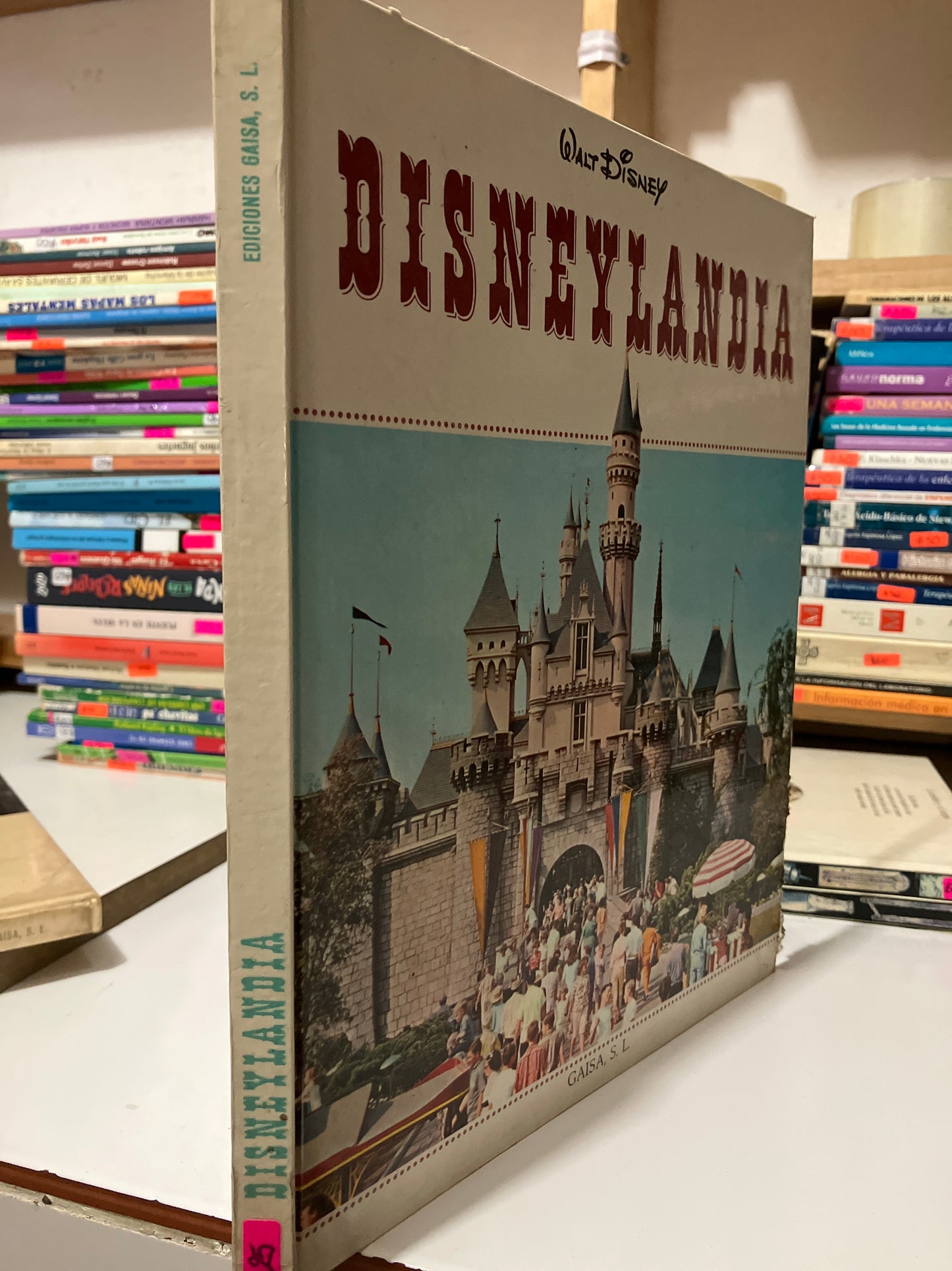 DISNEYLANDIA USADO INFANTILES JUAREZ