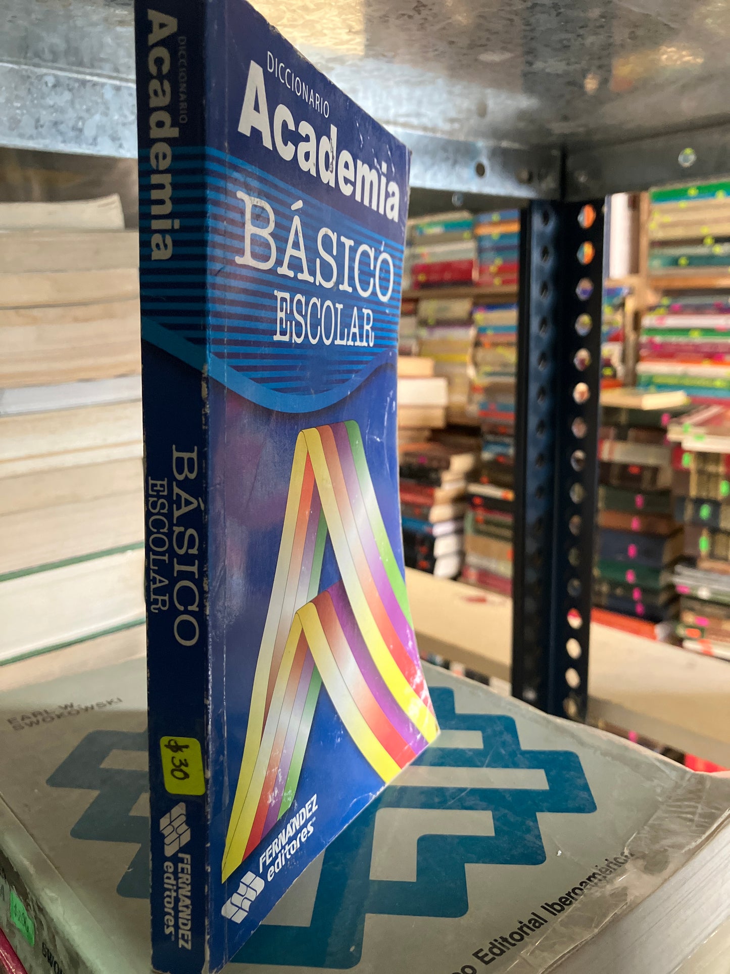 DICCIONARIO ACADEMIA BASICO ESCOLAR USADO EDUCACION ALDAMA