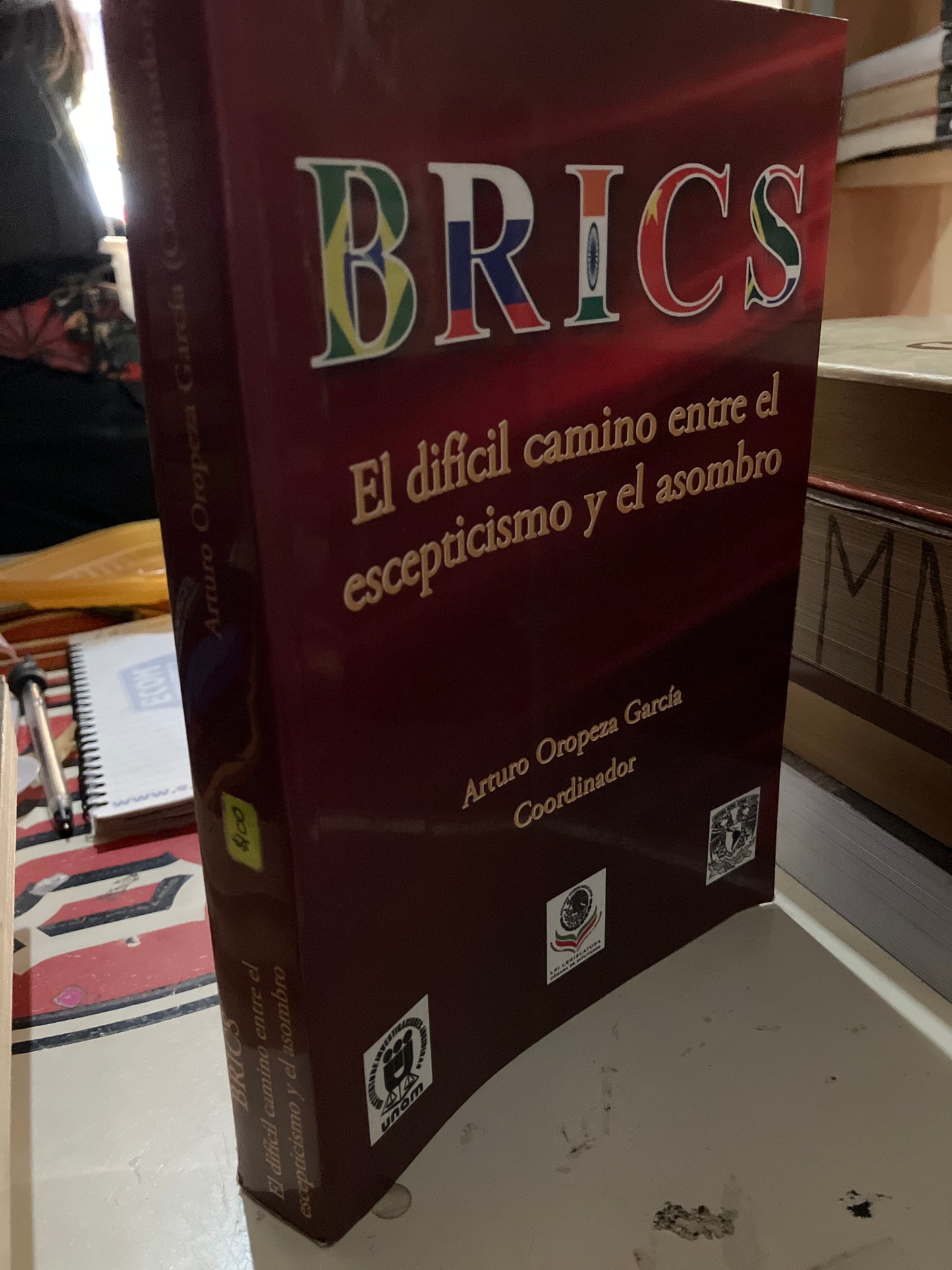 BRICS EL DIFÍCIL CAMINO ENTRE EL ESCEPTICISMO Y EL ASOMBRO POR ARTURO OROPEZA GARCÍA USADO ADMINISTRACIÓN LITERARIO 207
