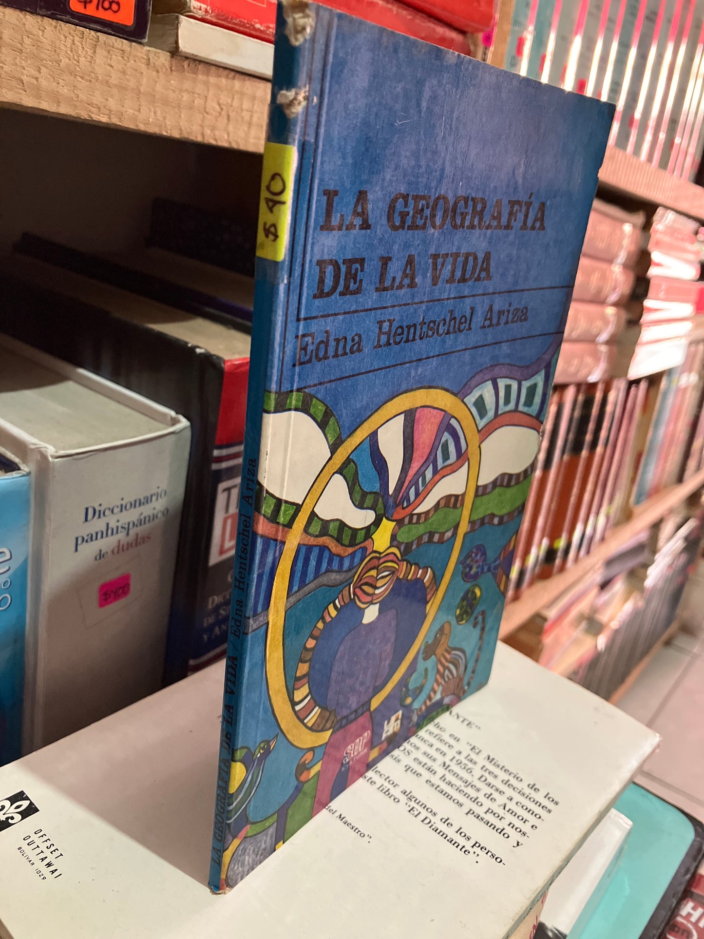 LA GEOGRAFÍA DE LA VIDA POR EDNA HENTSCHEL USADO NOVELA LITERARIO 305