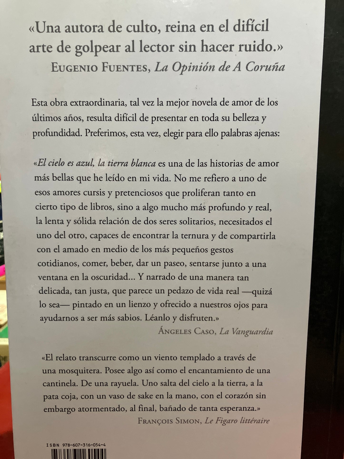 EL CIELO ES AZUL LA TIERRA BLANCA POR HIROMI KAWAKAMI USADO NOVELA ALDAMA