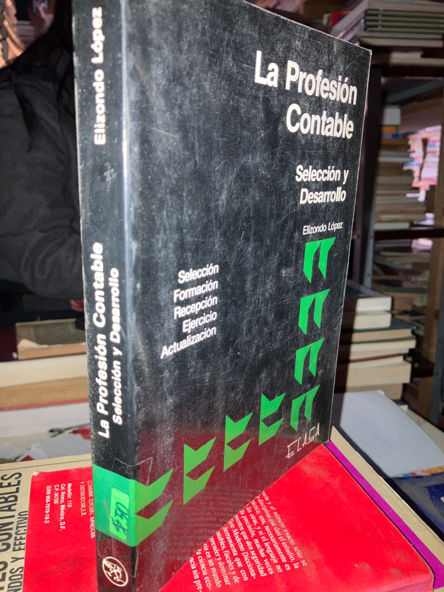 LA PROFESIÓN CONTABLE POR ELIZONDO LÓPEZ USADO ADMINISTRACIÓN LITERARIO 207