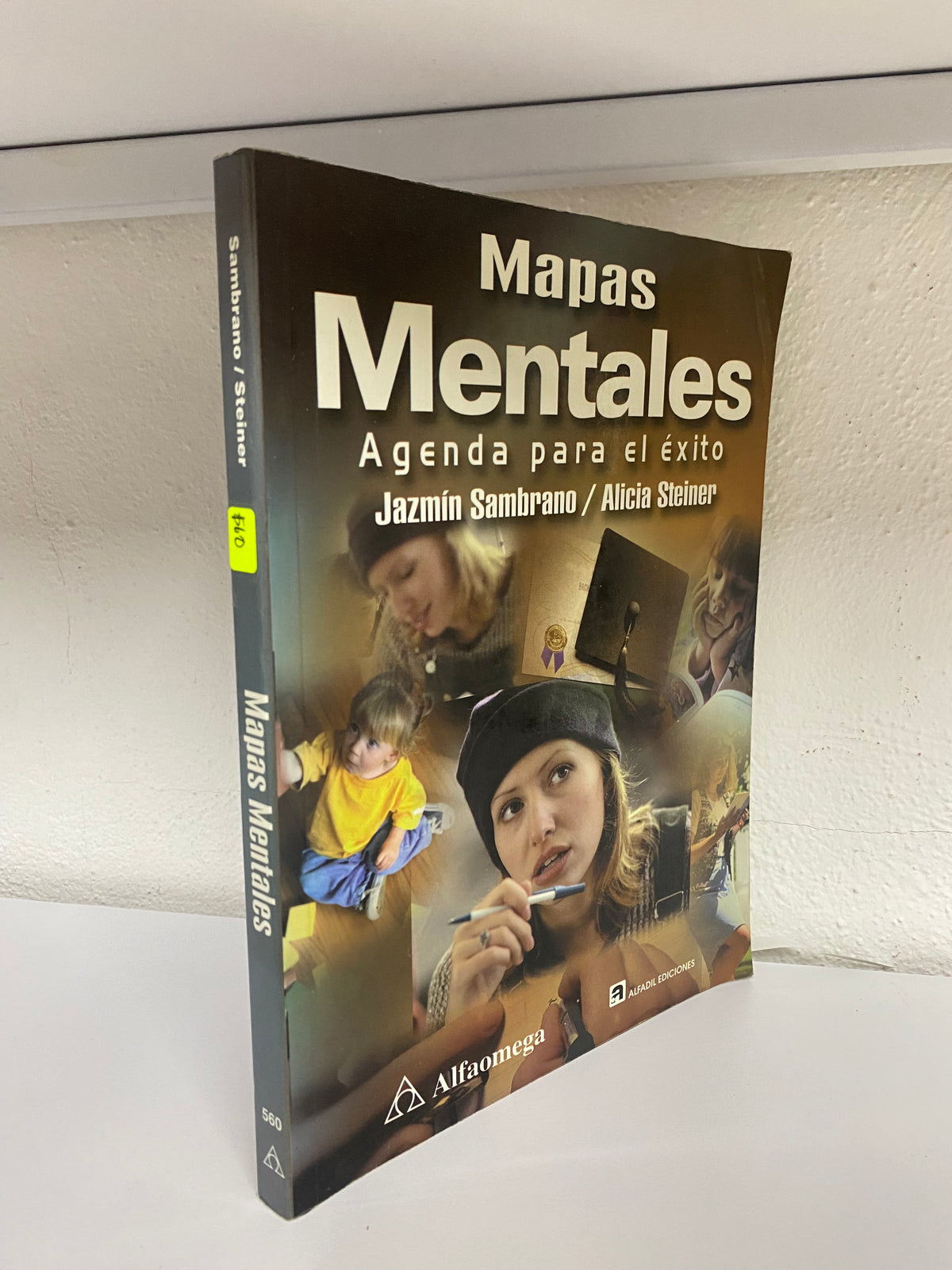 MAPAS MENTALES JAZMIN SAMBRANO ALICIA STEINER USADO JUAREZ 515