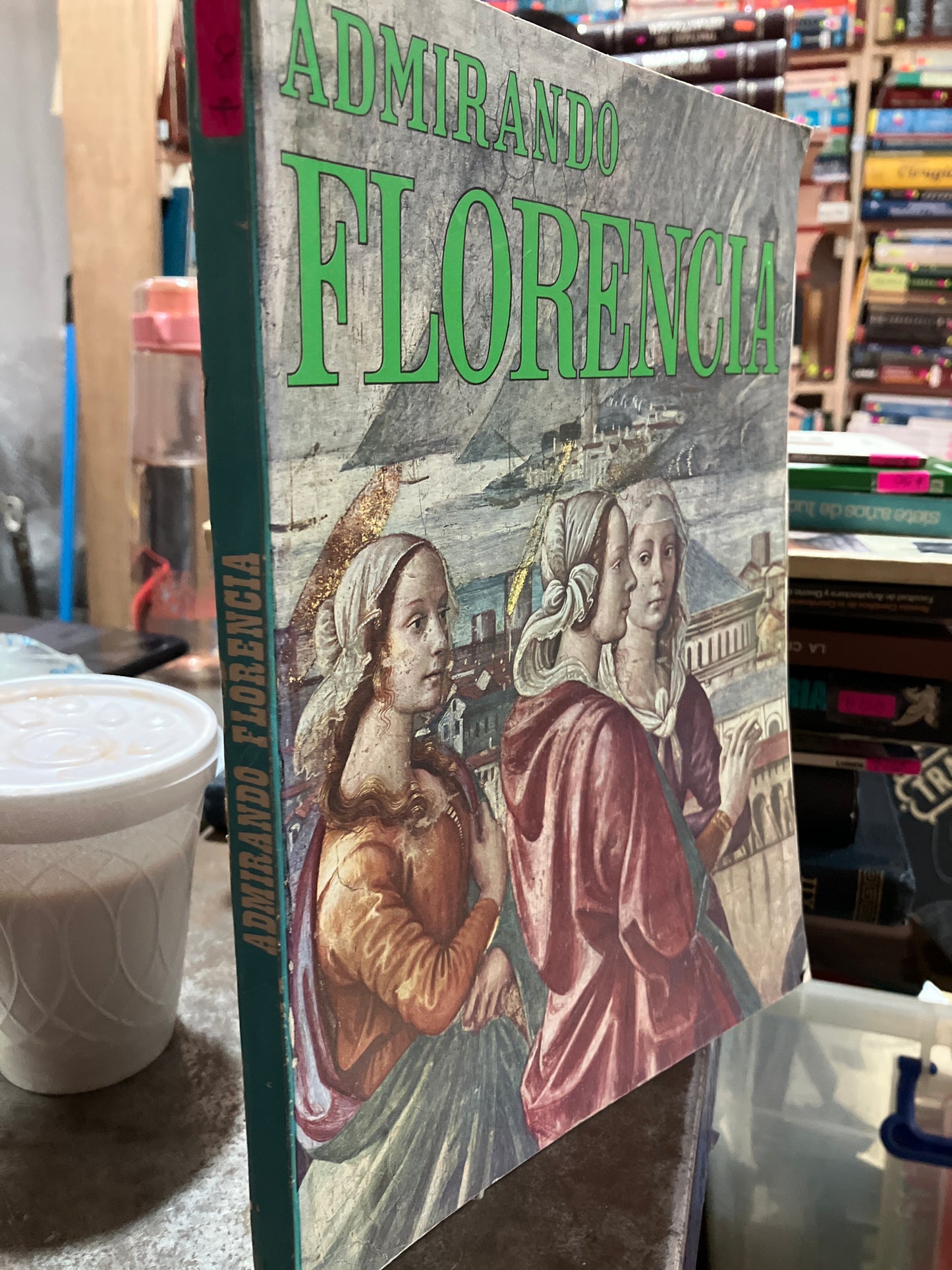 ADMIRANDO FLORENCIA POR ROLANDO FUSI USADO HISTORIA ALDAMA
