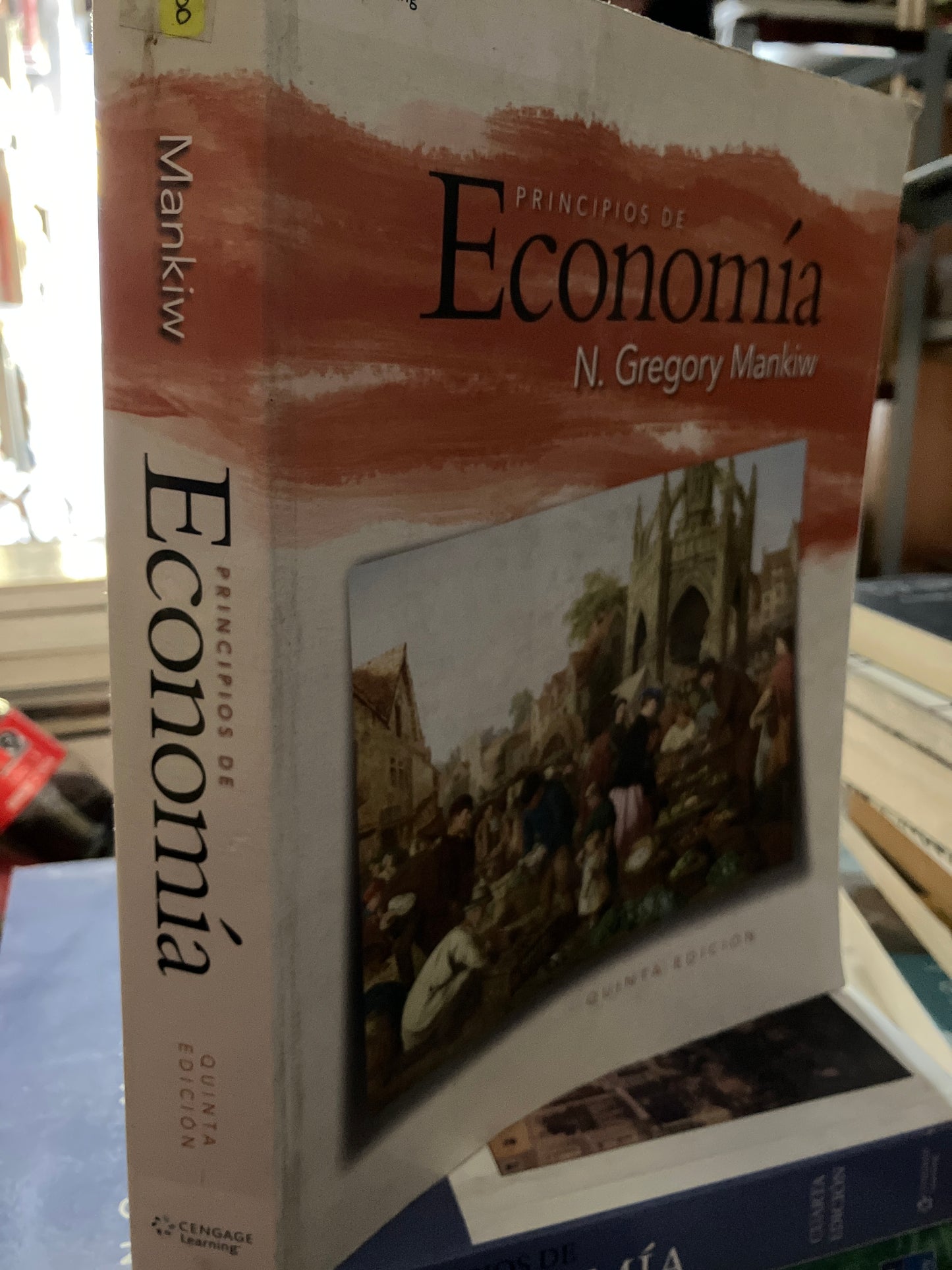PRINCIPIOS DE ECONOMÍA QUINTA EDICIÓN POR N GREGORY MANKIW USADO ADMINISTRACIÓN LITERARIO 207