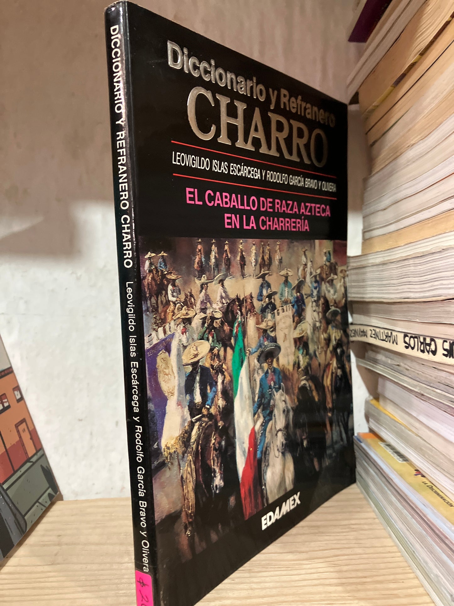 DICCIONARIO Y REFRANERO CHARRO POR RODOLFO GARCÍA BRAVO USADO ANTIGUOS ALDAMA