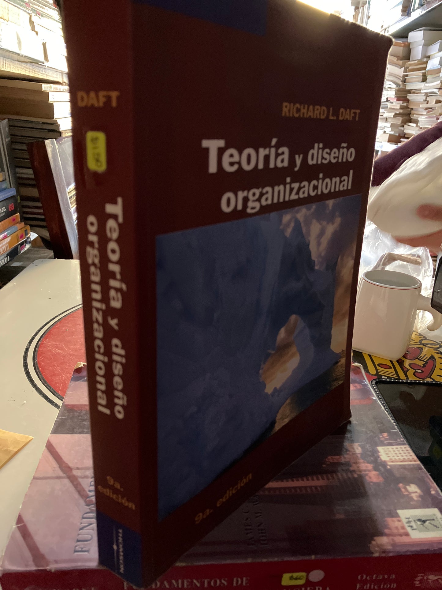 TEORÍA Y DISEÑO ORGANIZACIONAL NOVENA EDICIÓN POR RICHARD L DAFT USADO ADMINISTRACIÓN LITERARIO 207
