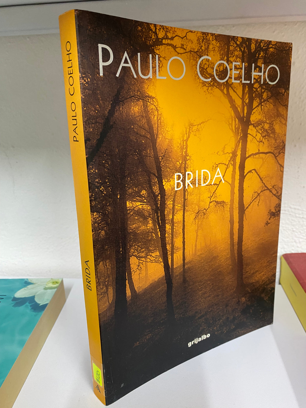 PAULO COELHO BRIDA GRIJALBO USADO JUAREZ 515