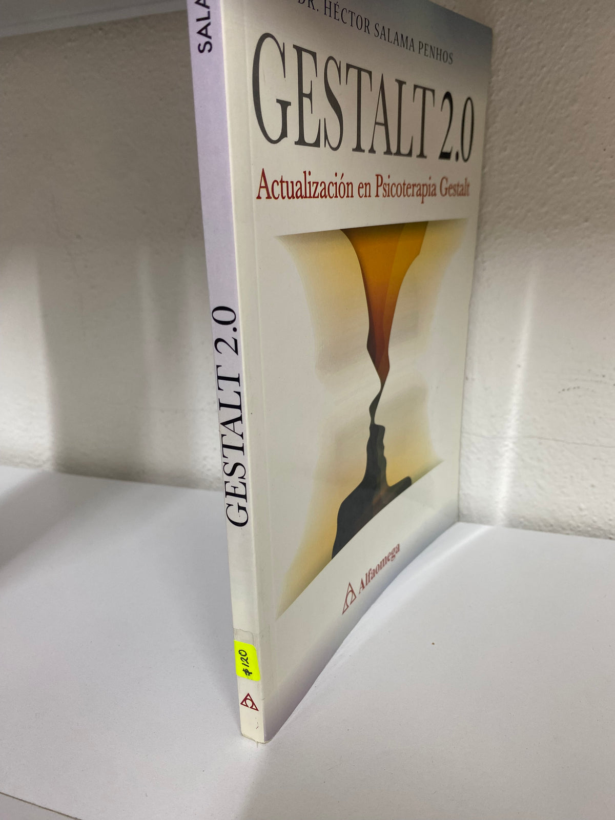 GESTALT 2.0 POR DR HECTOR SALAMA PENHOS USADO PSICOLOGIA JUAREZ 515