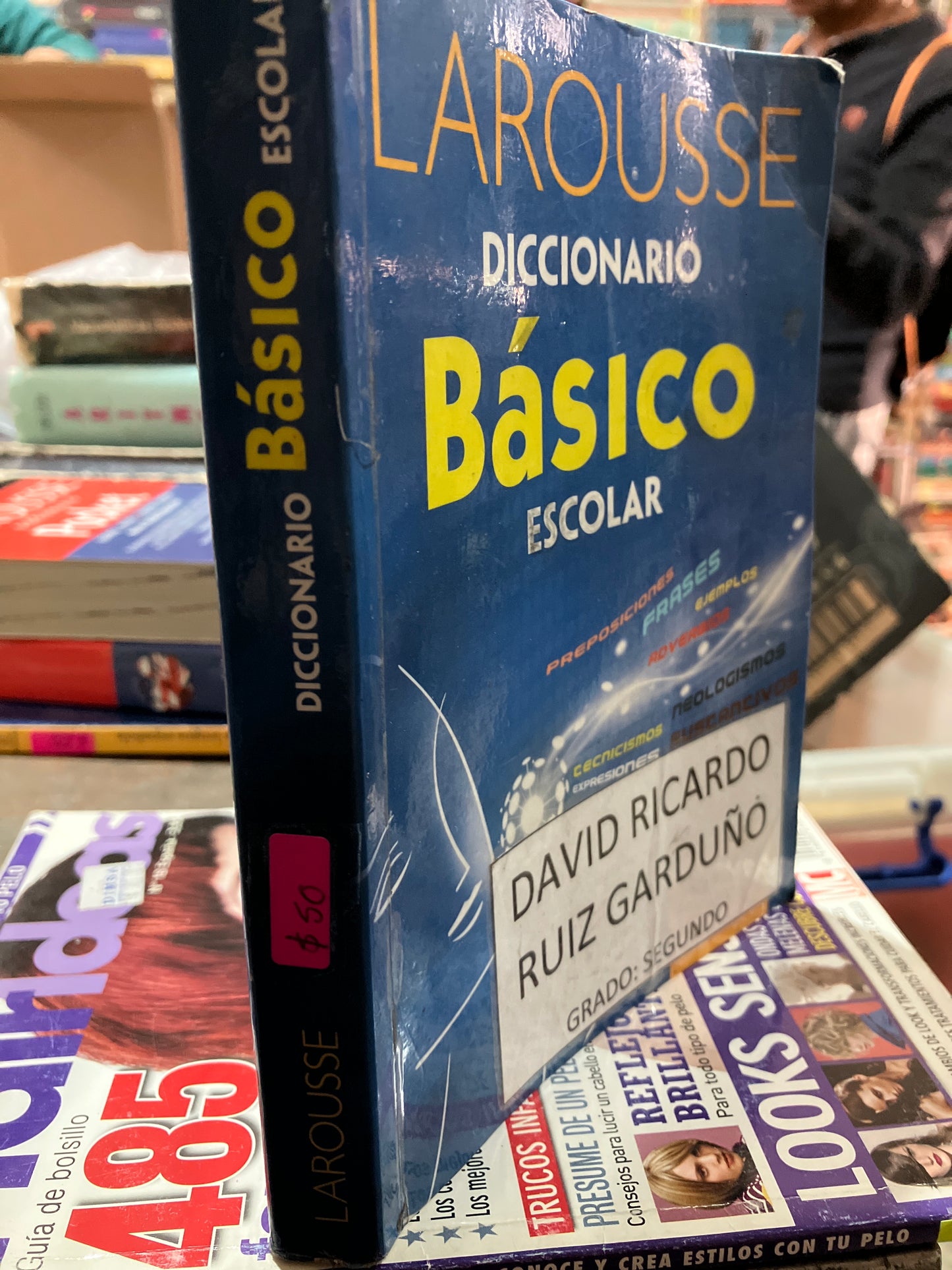 LAROUSSE DICCIONARIO BÁSICO ESCOLAR USADO EDUCACION ALDAMA