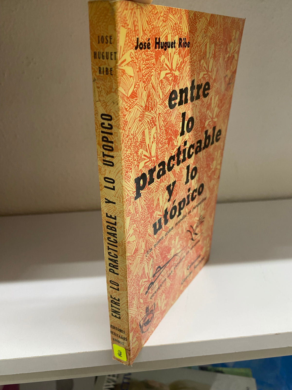 ENTRE LO PRACTICABLE Y LO UTOPICO POR JOSE HUGUET RIBE USADO SOCIOLOGIA JUAREZ 515