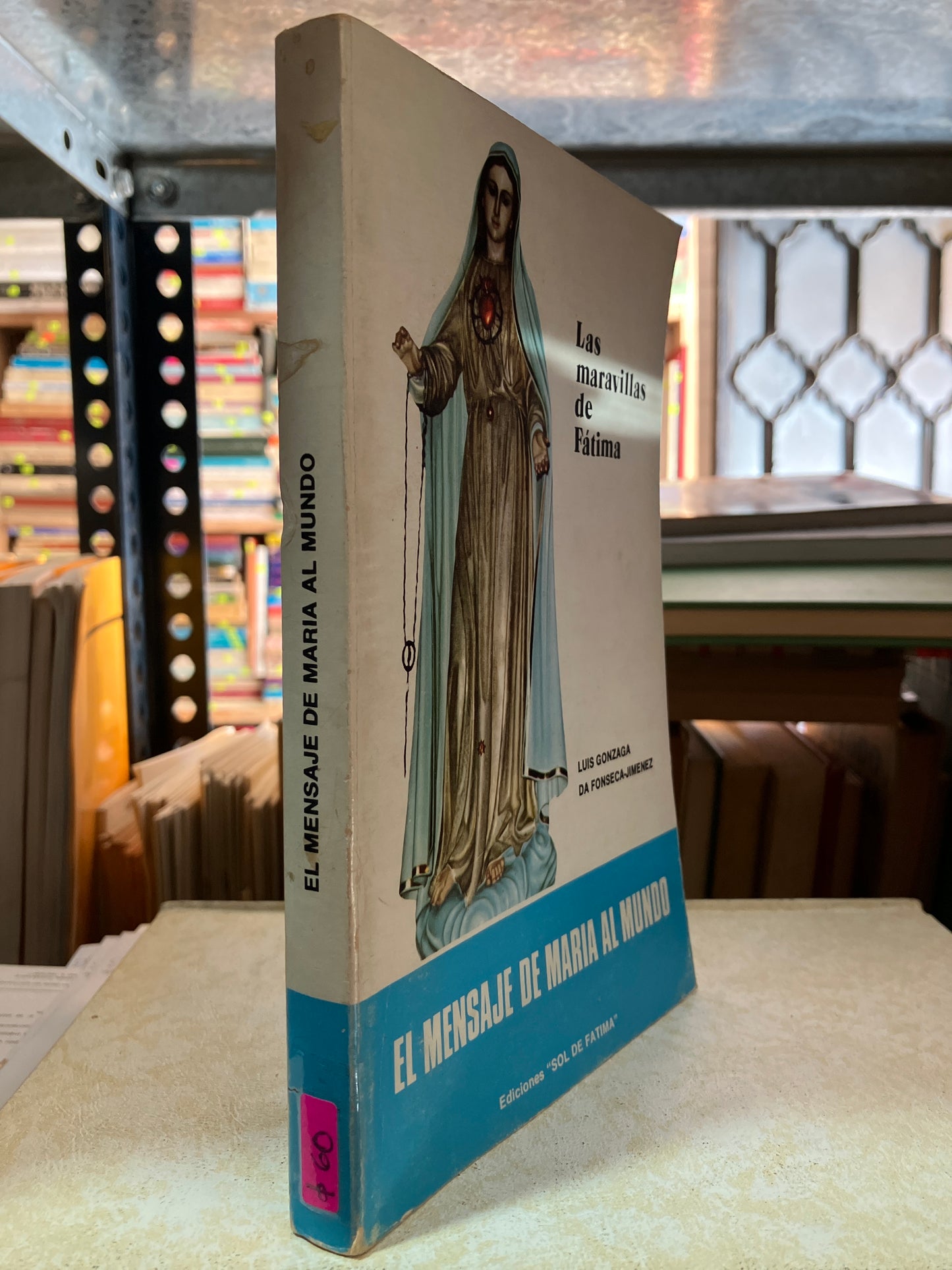 EL MENSAJE DE MARIA AL MUNDO POR LUIS GONZAGA USADO RELIGIÓN ALDAMA