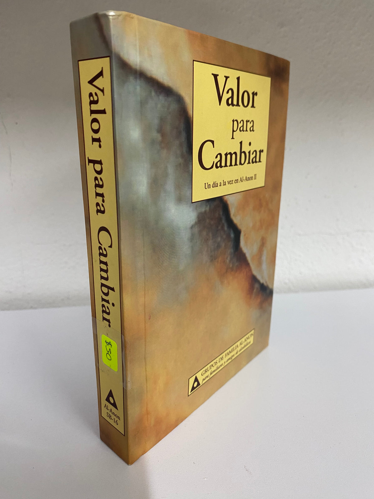 VALOR PARA CAMBIAR UN DIA A LA VEZ EN AL-ANON USADO SUPERACION PERSONAL JUAREZ 515
