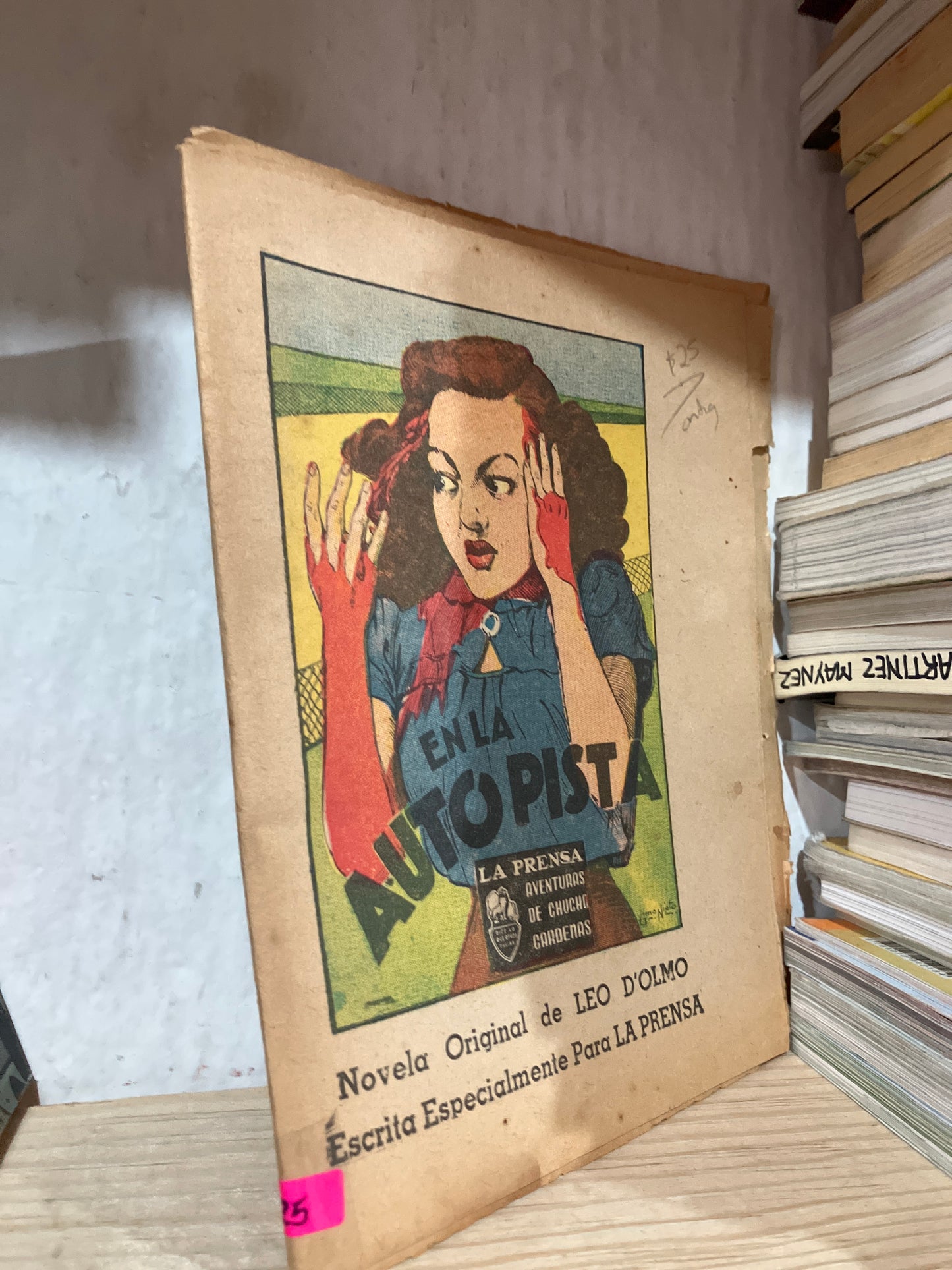 EN LA AUTOPISTA POR LEO DOLMO USADO ANTIGUOS ALDAMA