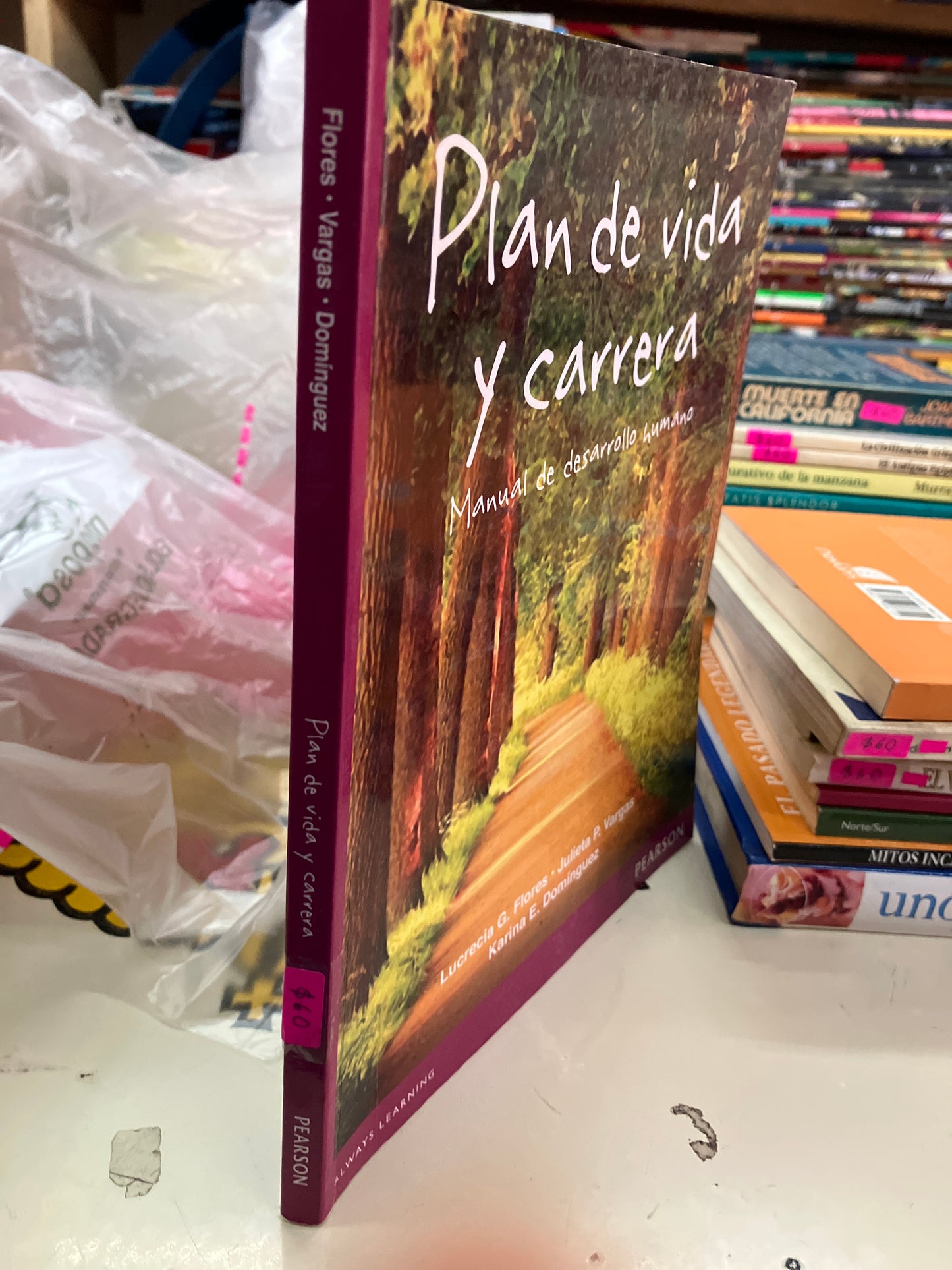 PLAN DE VIDA Y CARRERA MANUAL DE DESARROLLO HUMANO POR AUTORES VARIOS USADO SUPERACIÓN PERSONAL LITERARIO 207