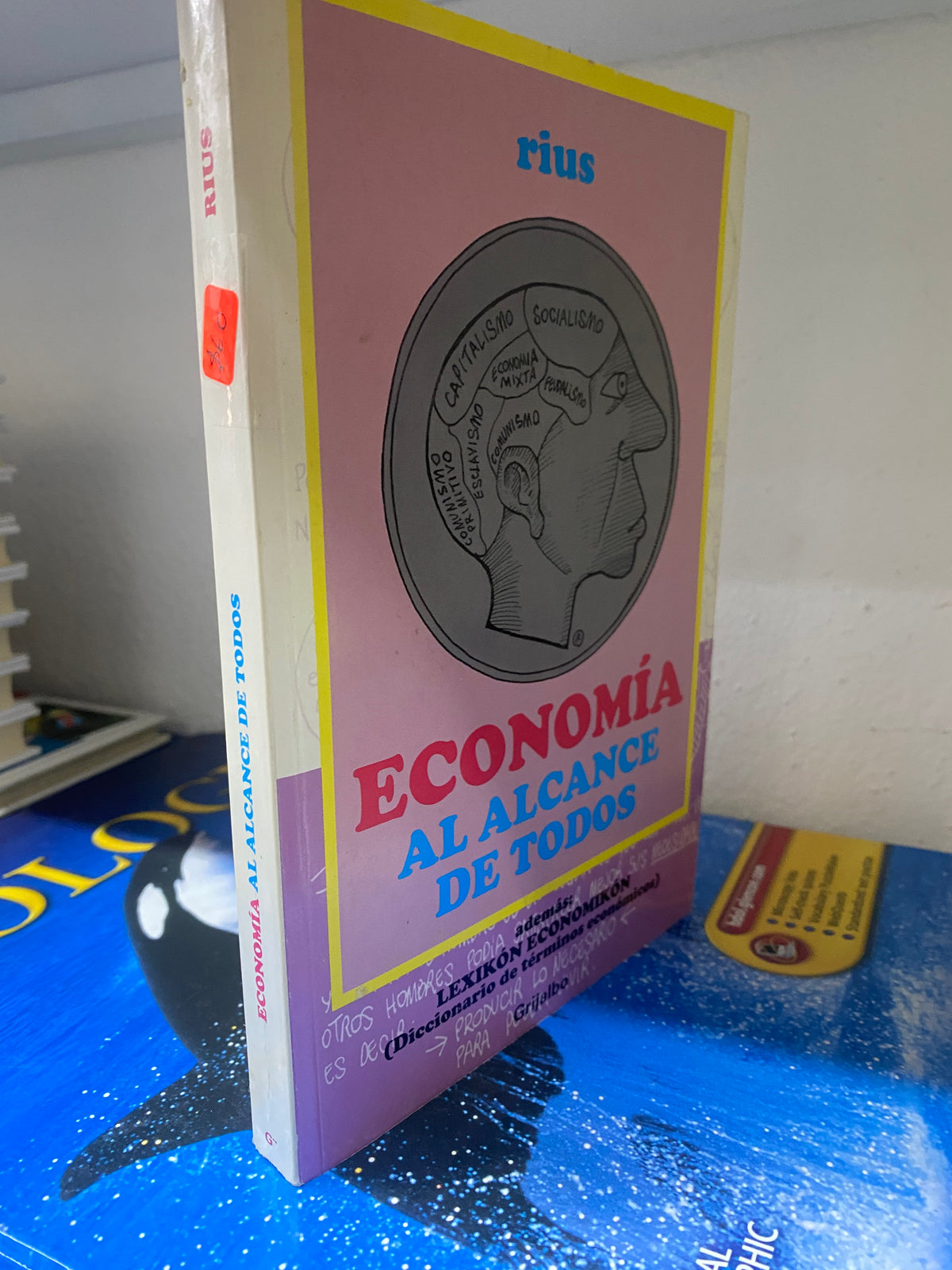 ECONOMIA AL ALCANCE DE TODOS POR RIUS USADO NOVELA JUAREZ 515