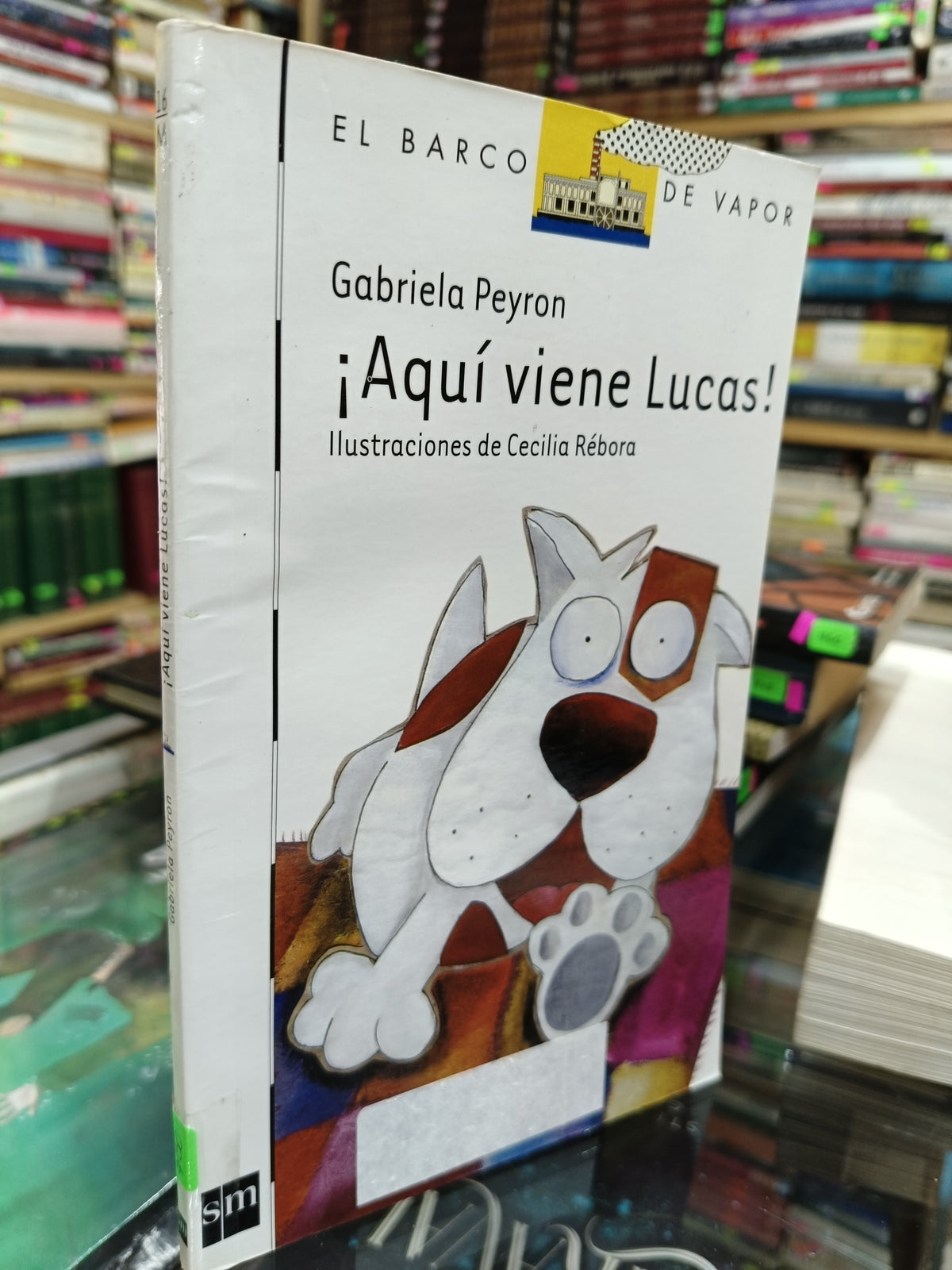 AQUI VIENE LUCAS POR GABRIELA PEYRON USADO INFANTIL JUAREZ 507
