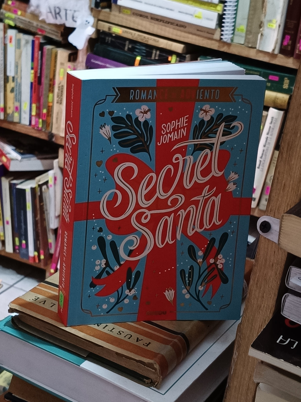 SECRET SANTA SOPHIE JOMAIN USADO NOVELA LITERARIO 305