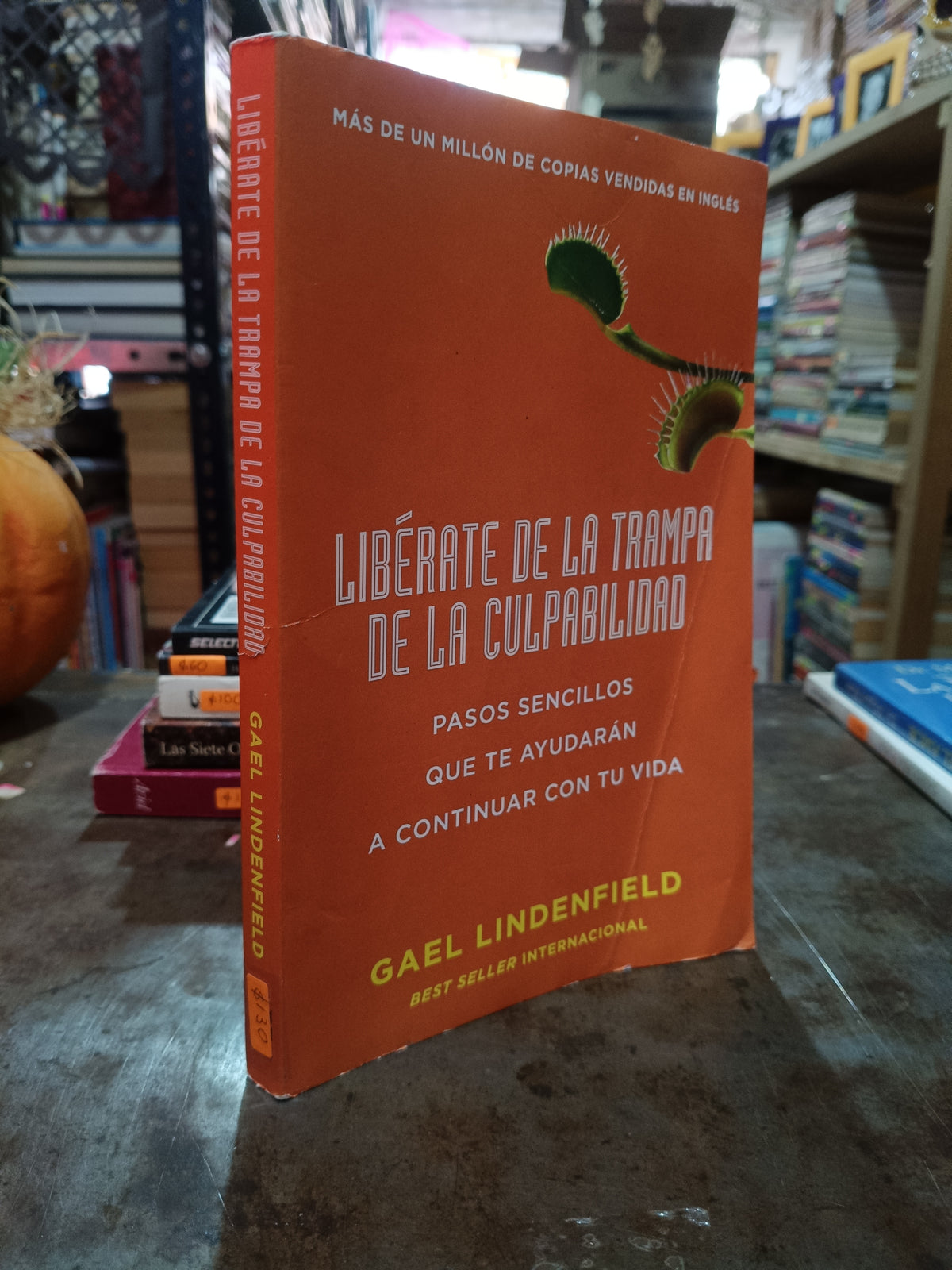 LIBERATE DE LA TRAMPA DE LA CULPABILIDAD POR GAEL LINDENFIELD USADO SUPERACION PERSONAL ALDAMA