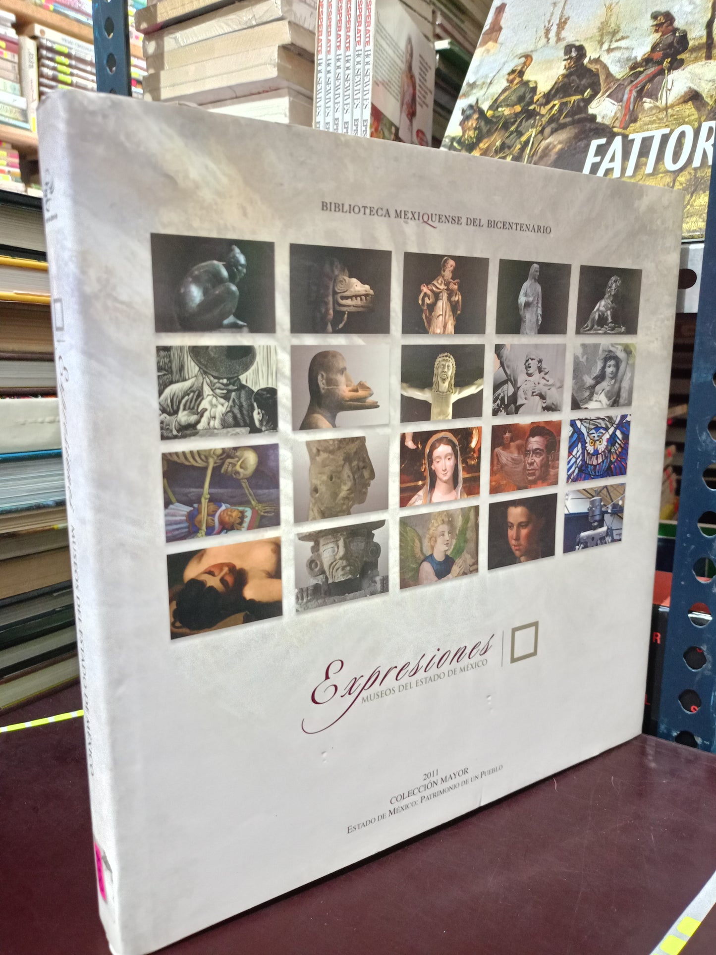EXPRESIONES MUSEOS DEL ESTADO DE MEXICO USADO ARTE LITERARIO 305