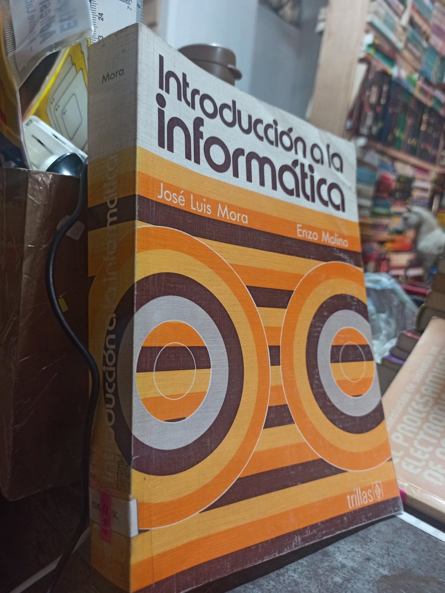 INTRODUCCION A LA INFORMATICA POR JOSE LUIS MORA USADO COMPUTACION ALDAMA